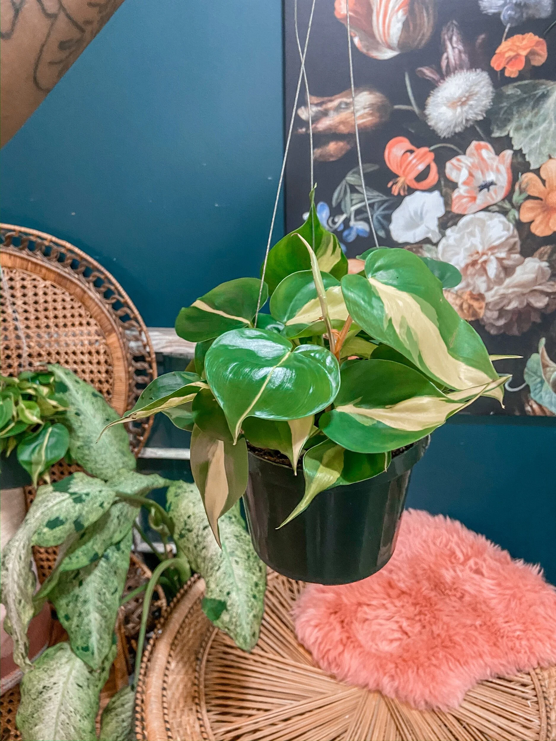 17F9BDB1-F552-4F2F-9A13-8BBF8CA28F3A