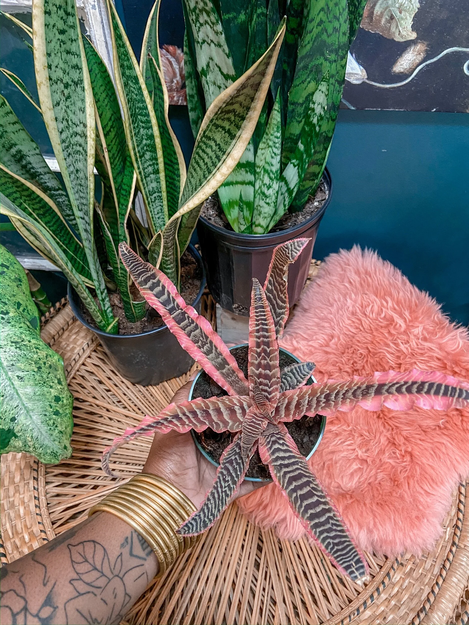 3AF46DDD-4AE4-491B-8F5E-355DE343E102