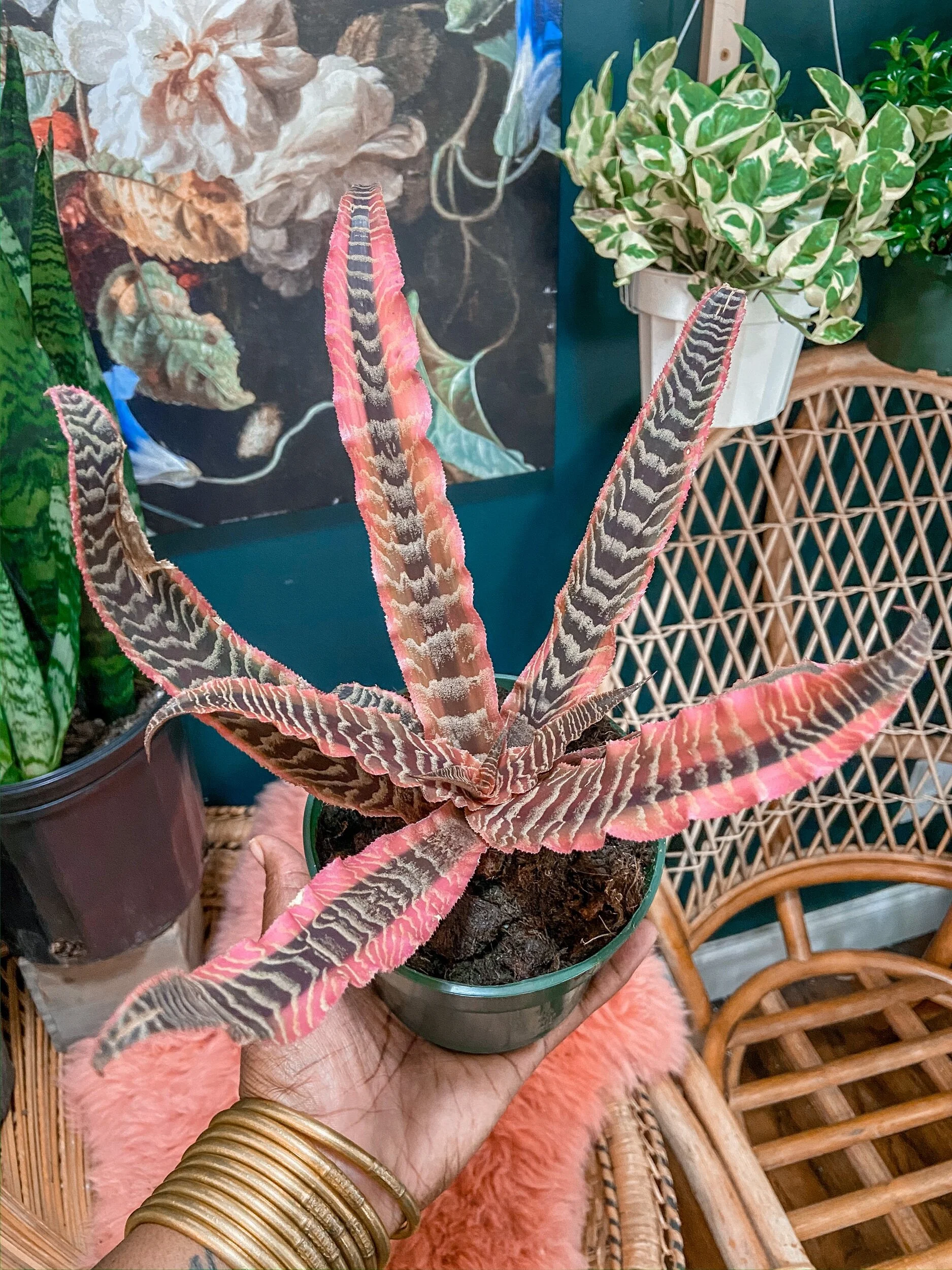 95BD2DE2-3A2C-4028-BAE5-FC9D8090CCE1