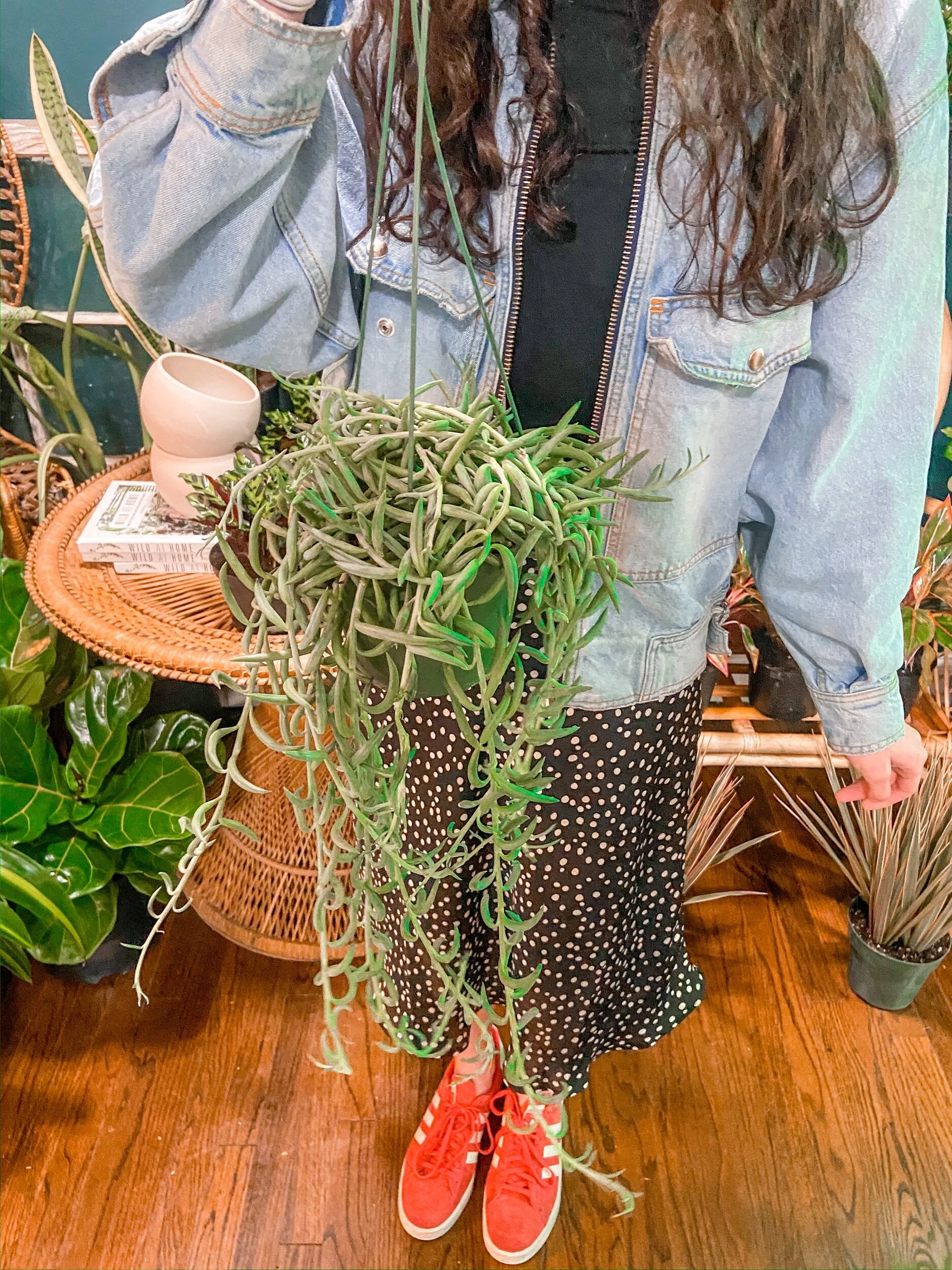 B4FEC44C-5101-4F11-8BA2-3BF811C312BE