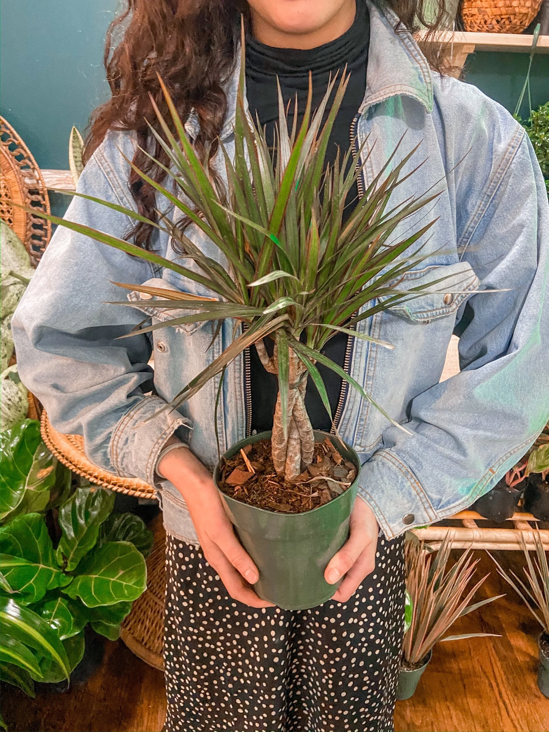 1CD597B1-3903-4B1F-9ED4-F0001900A96F