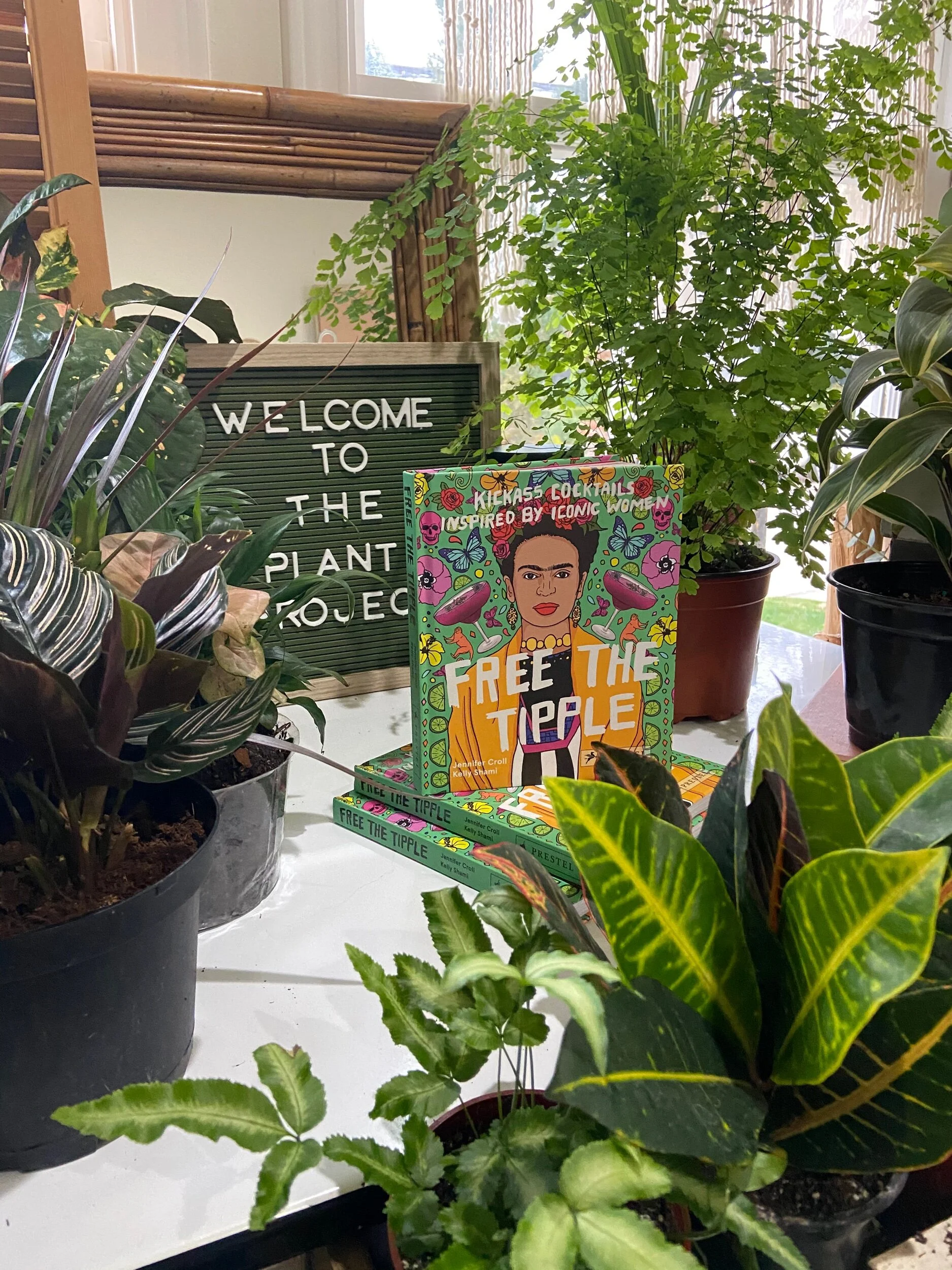 202DCC4D-D798-4C4A-AA43-84E304357CFA