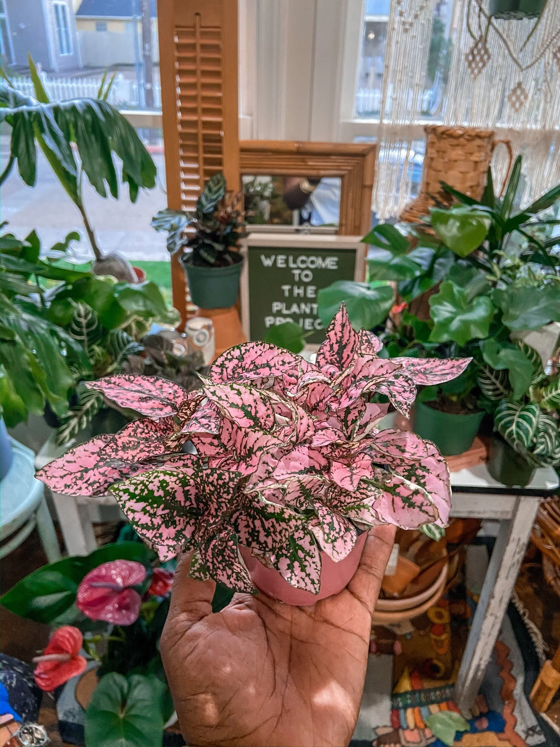 F36BB9A5-C072-4572-ADB2-7671ED8DE250