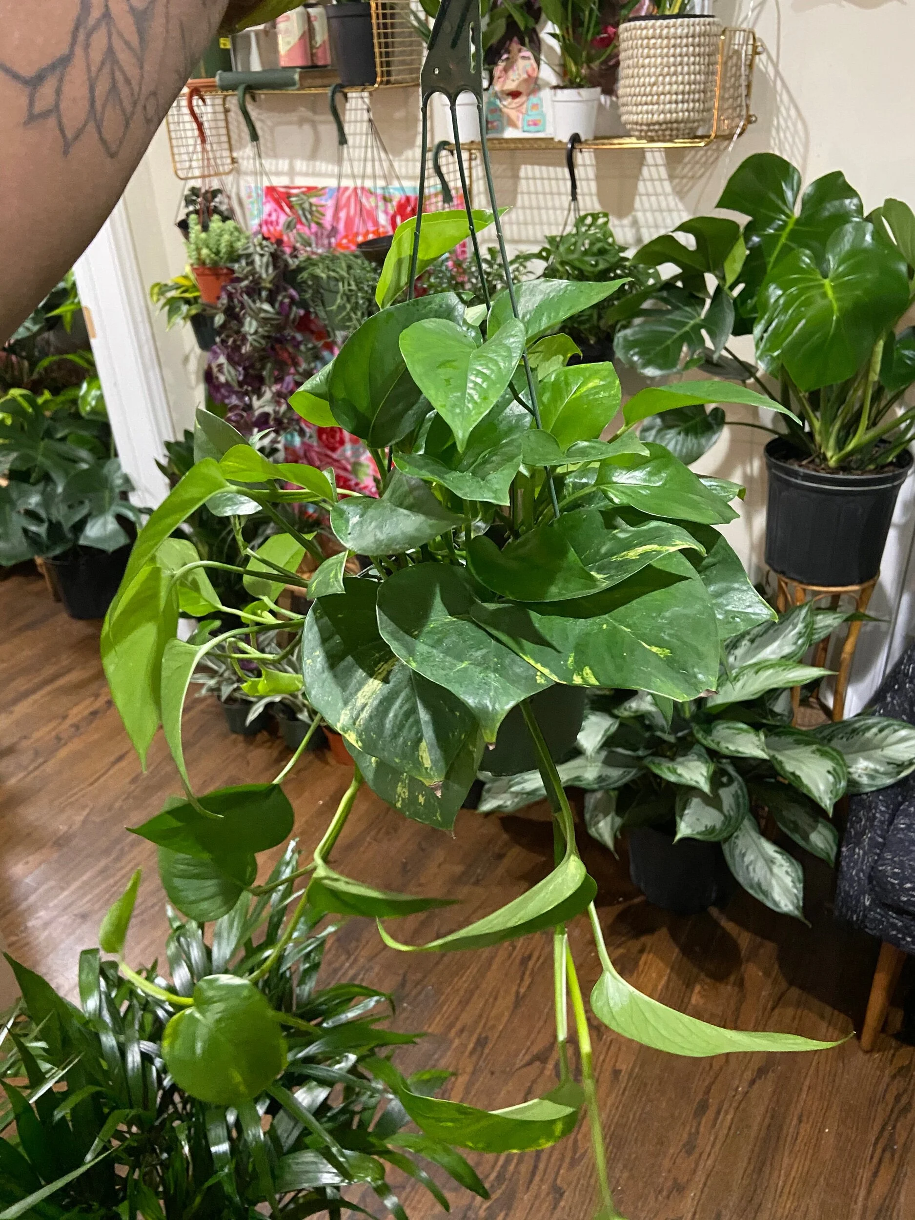 B52FAB5F-452C-442F-98BE-ACAE00958D3C