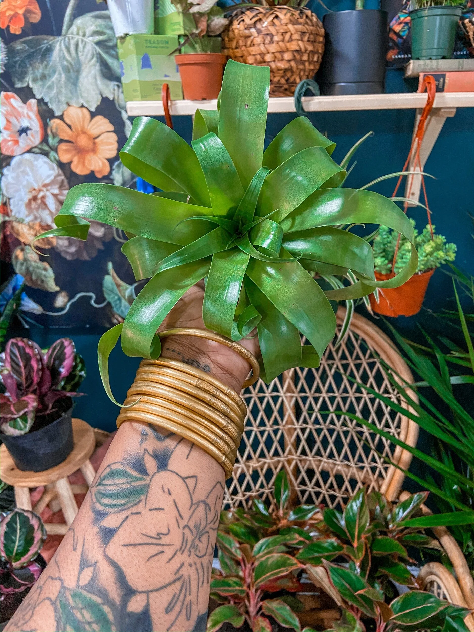 01AF8881-16DD-4505-BF0D-45FA847F8676