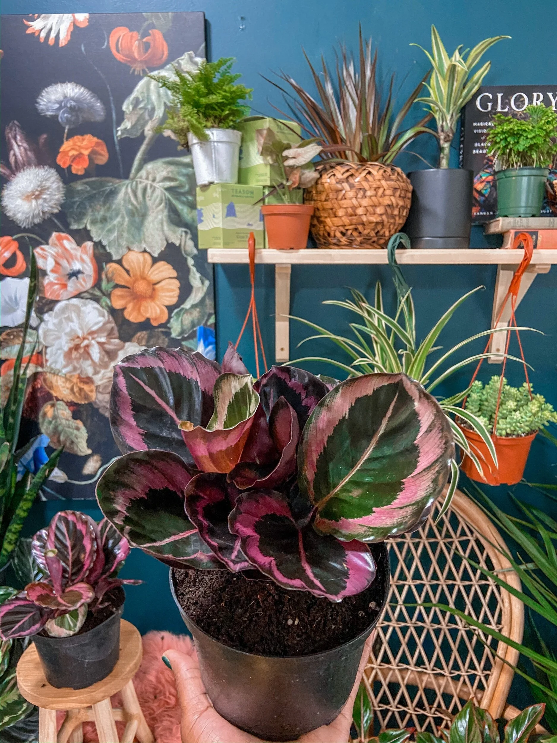 E542A7A5-5513-418C-9417-61C1D9AABCCF