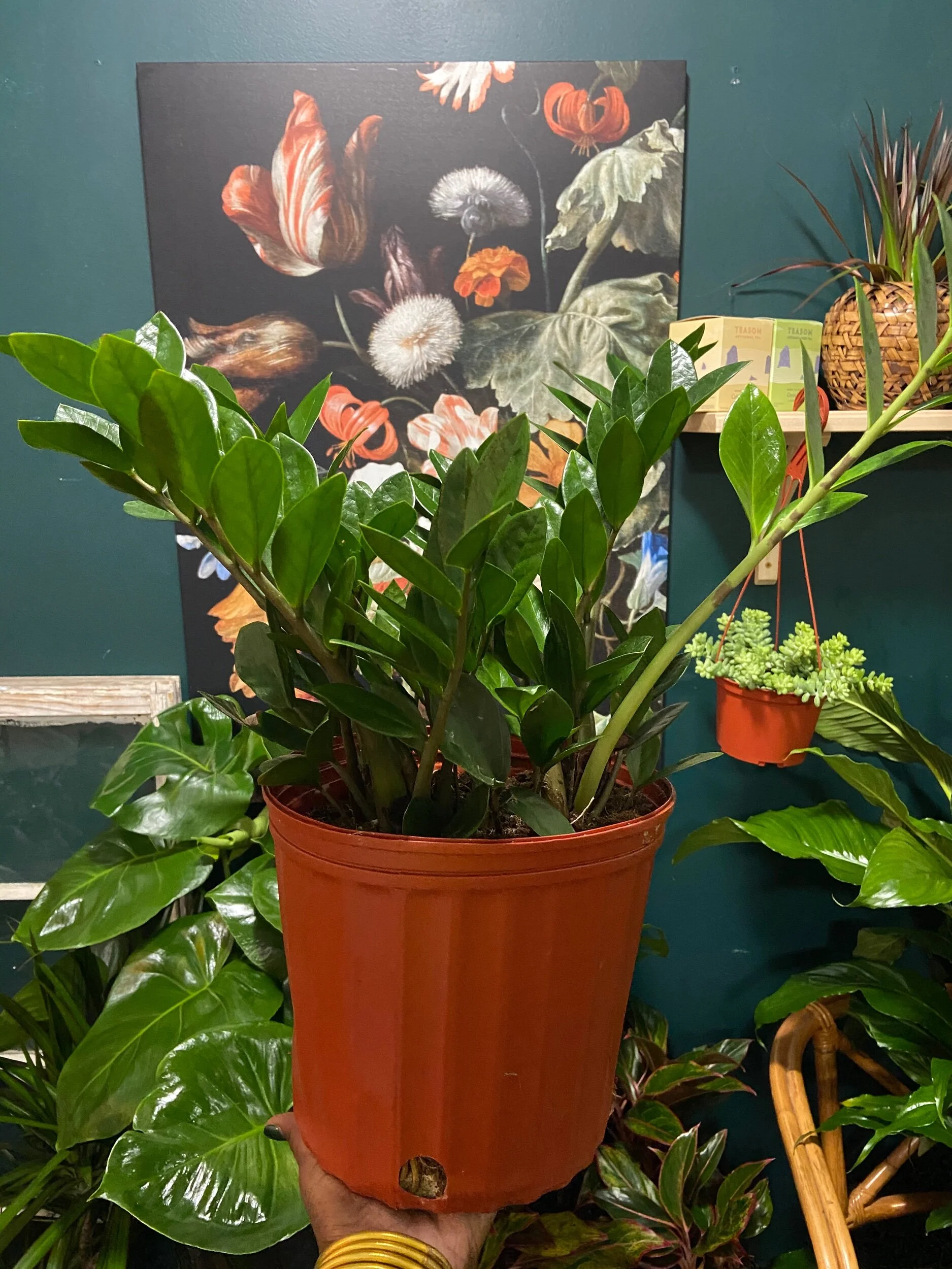 B6BBBBFB-1344-4F4C-B38F-E96E1CA1BFF4