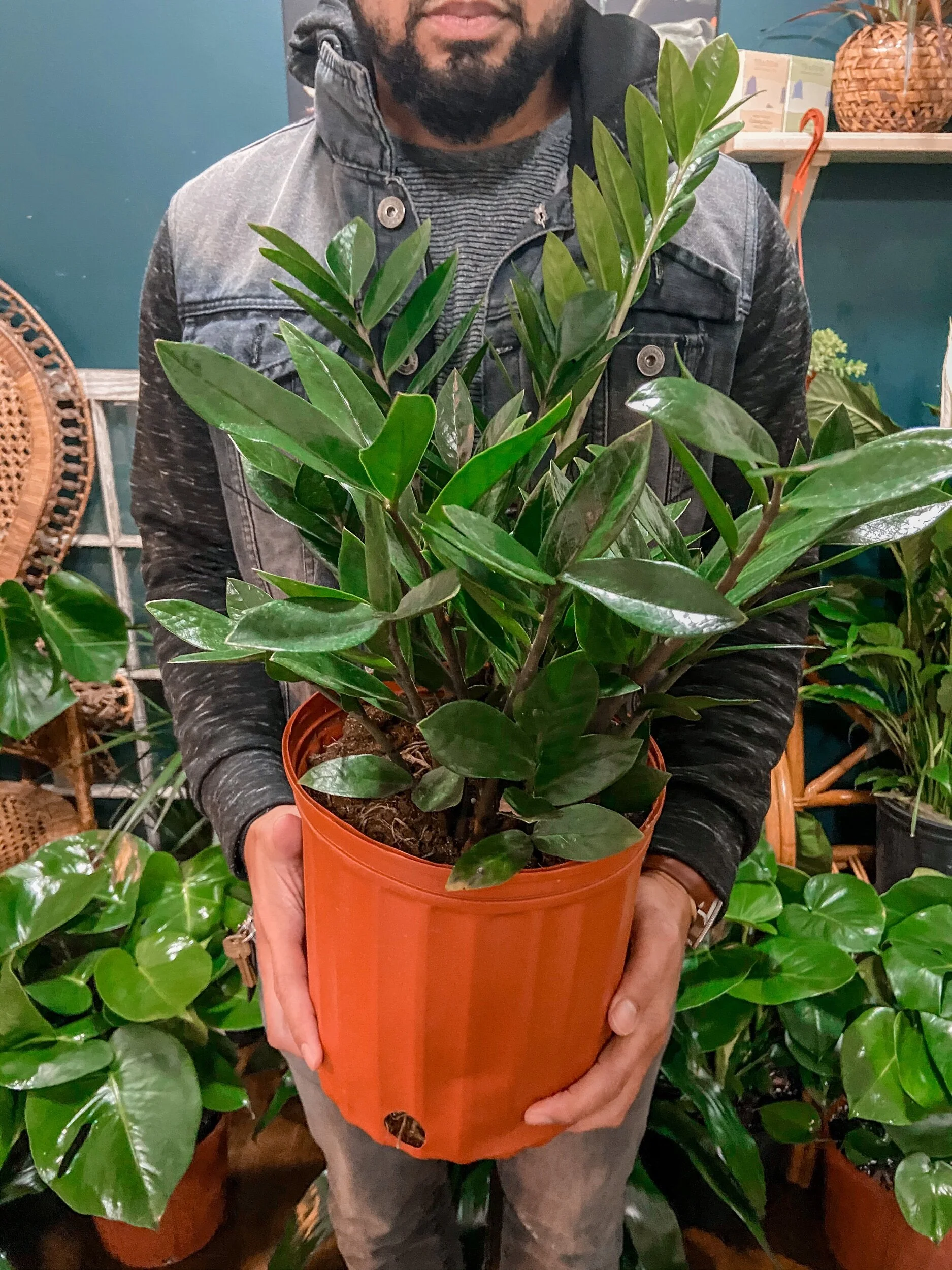 DCDDB84B-8BAF-4FBC-BB76-0D760A0E4DEA