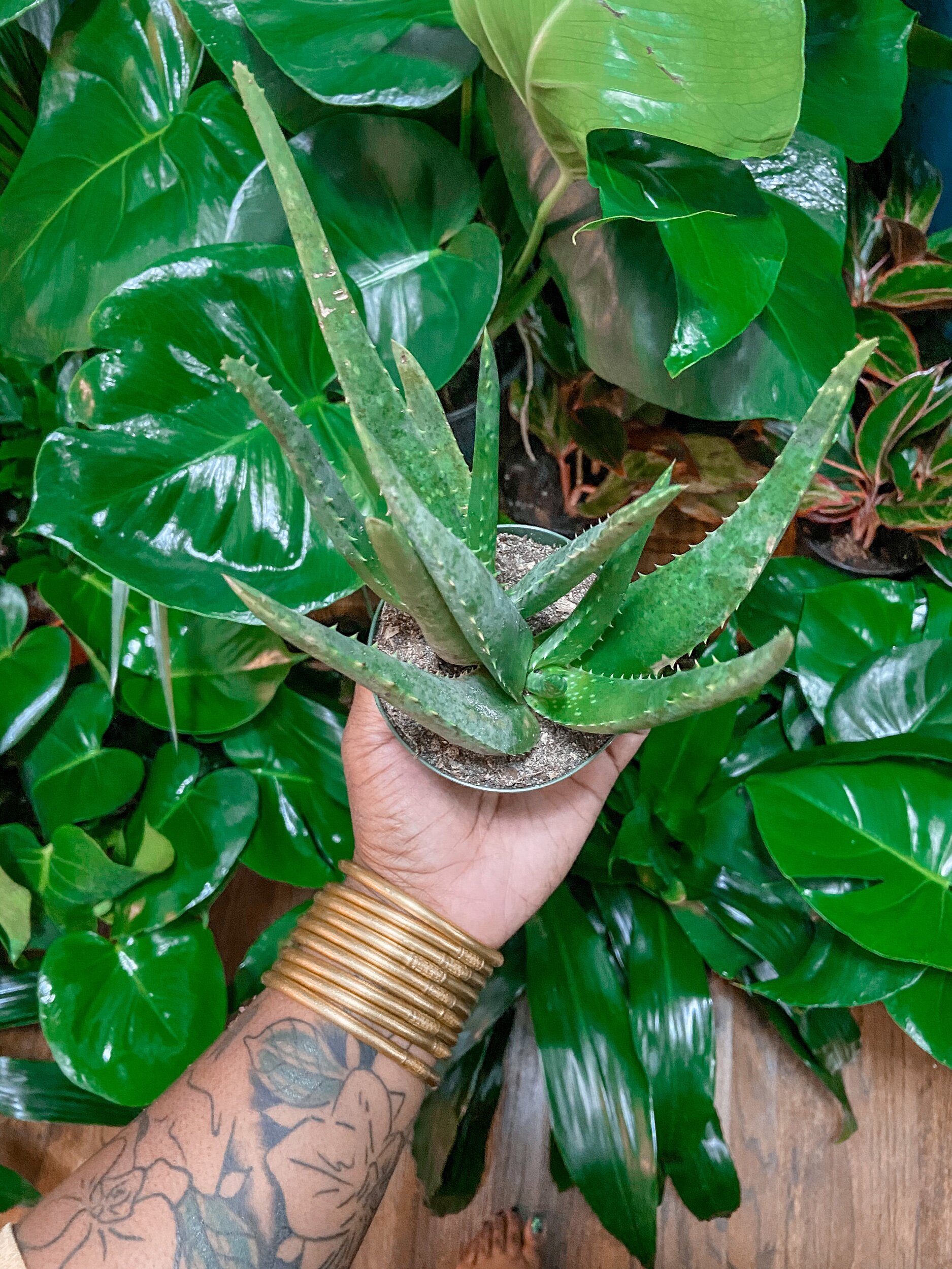 C649B1D1-DCD5-4380-A67D-BFC54B8869A0