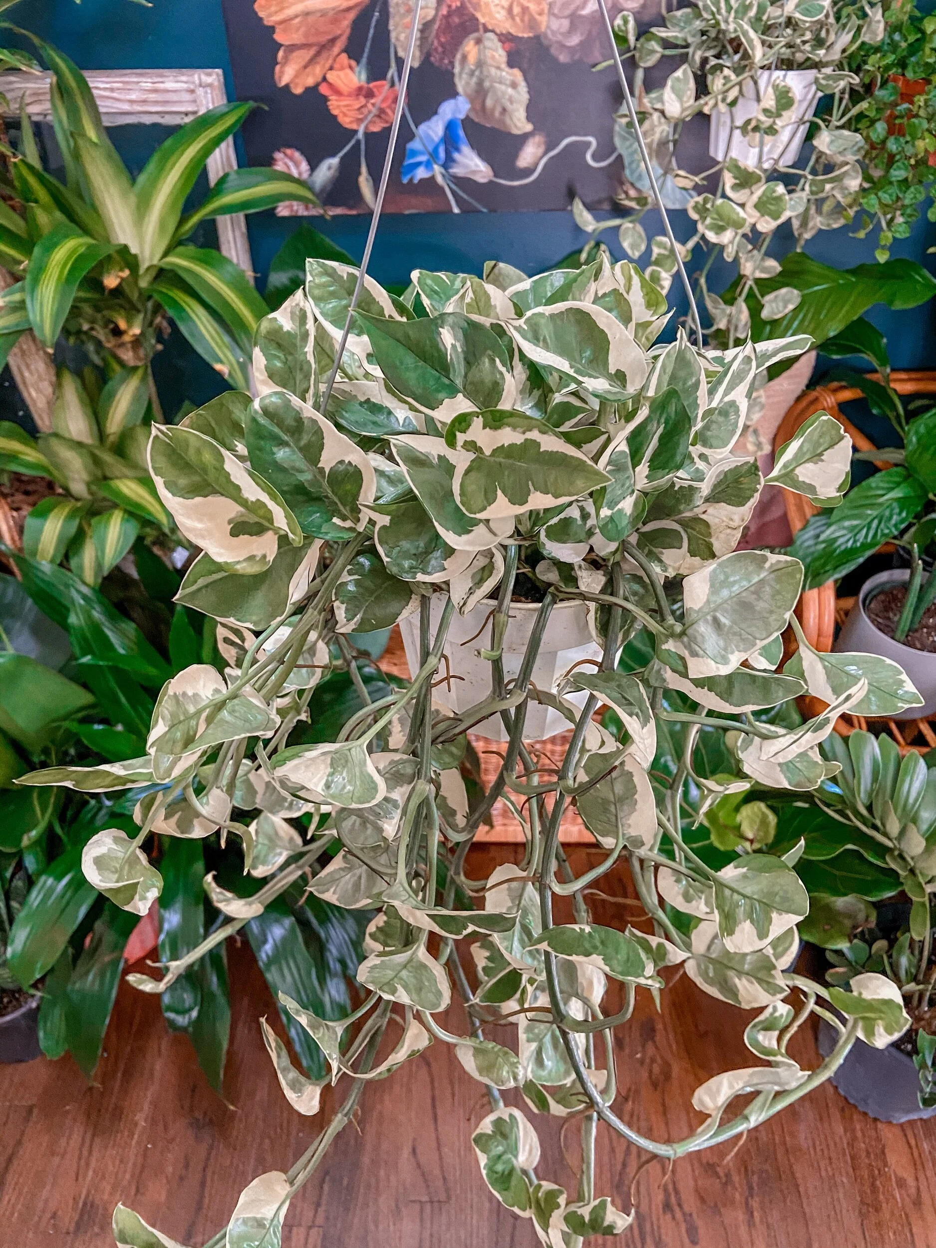 26A75C2D-1C33-4DE1-9BFD-B7DA6A6B804A