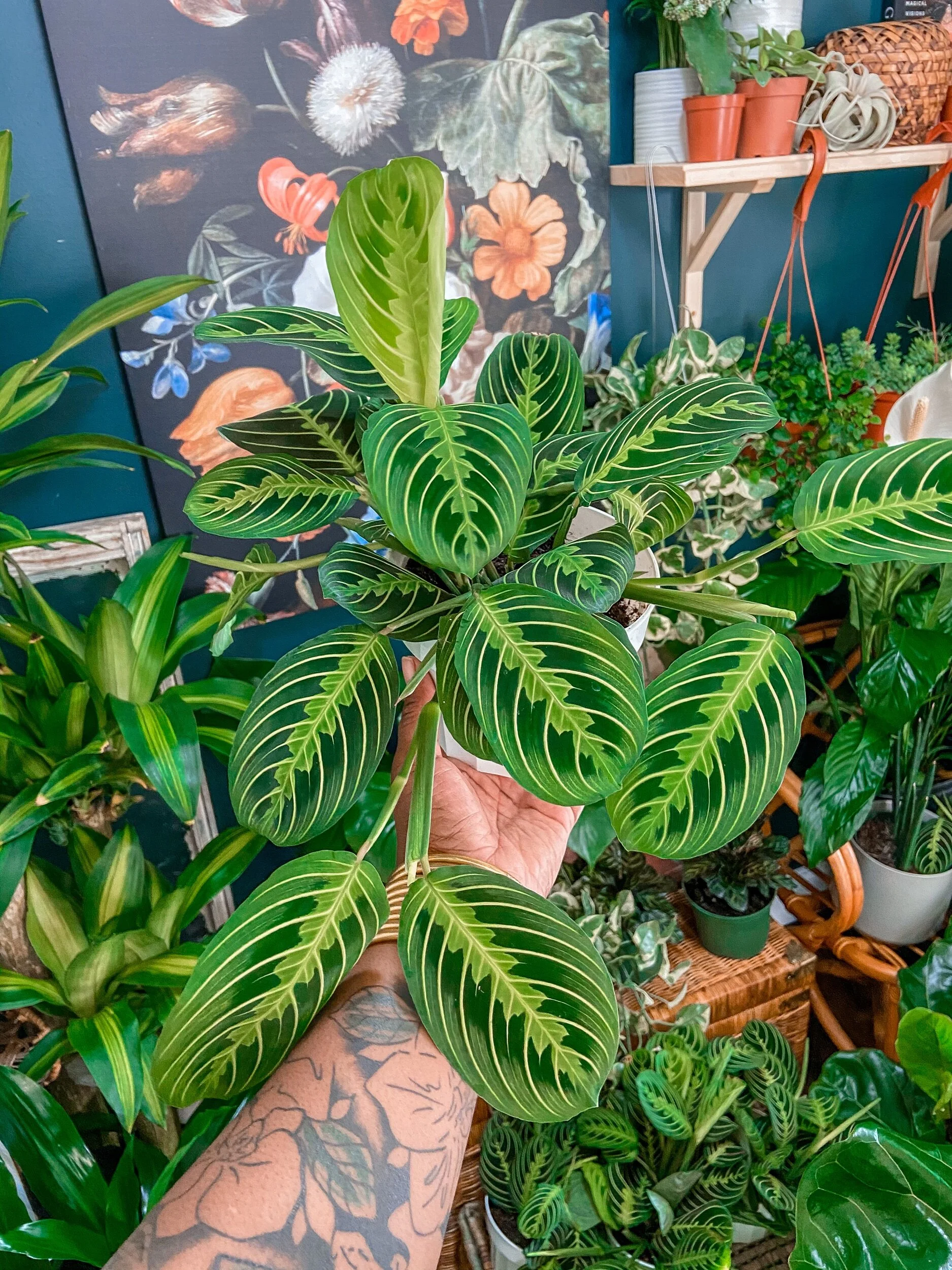 D5BCCA22-E0D4-4328-ABEC-12ACC7CA7D4E