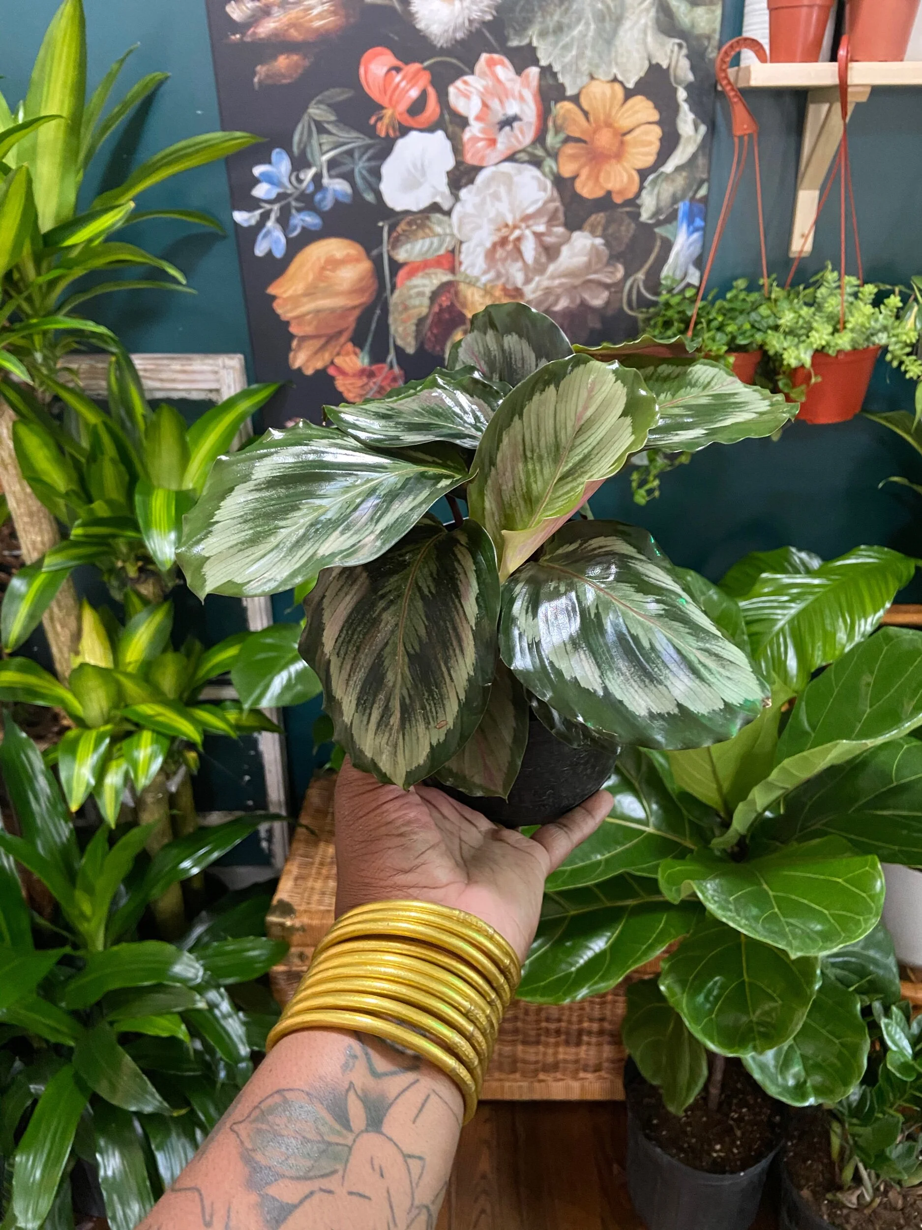 A9855D2E-EE36-4F34-BB89-2E2955DD09A5