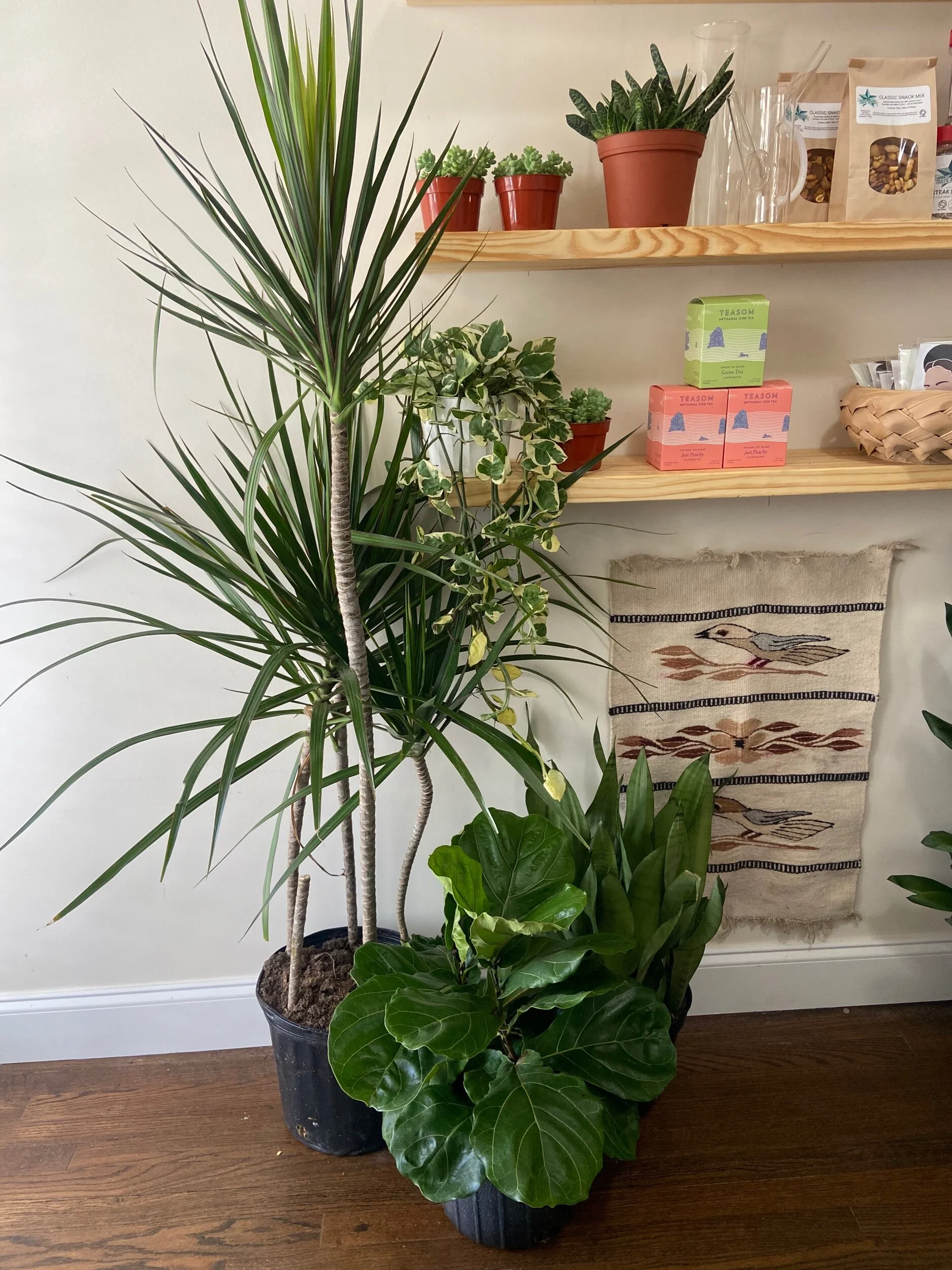 C0F1D1FC-5A35-43EE-8F3E-F878ED428F88