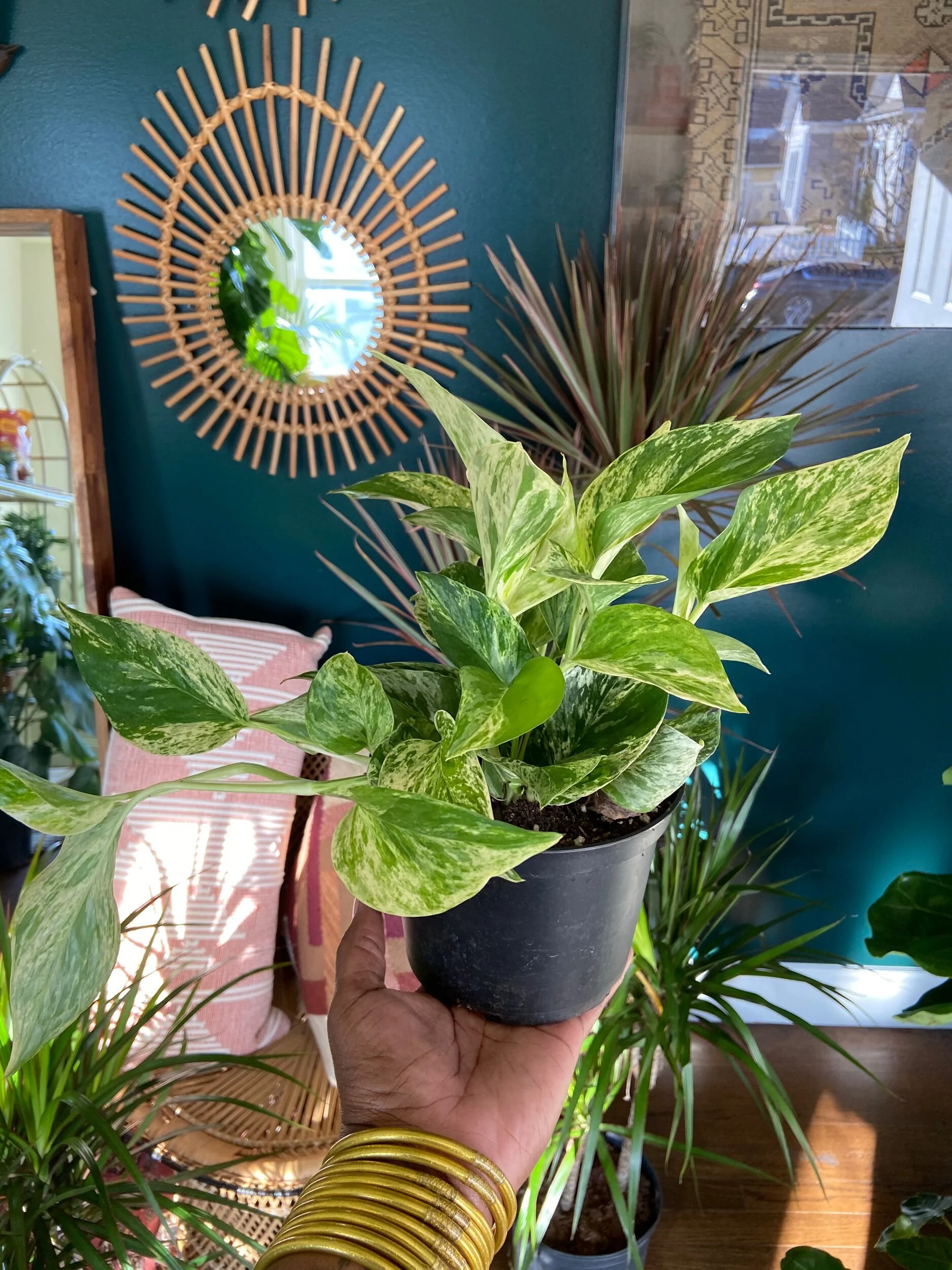 81F56CBA-8472-4480-8F36-46A022433FCD