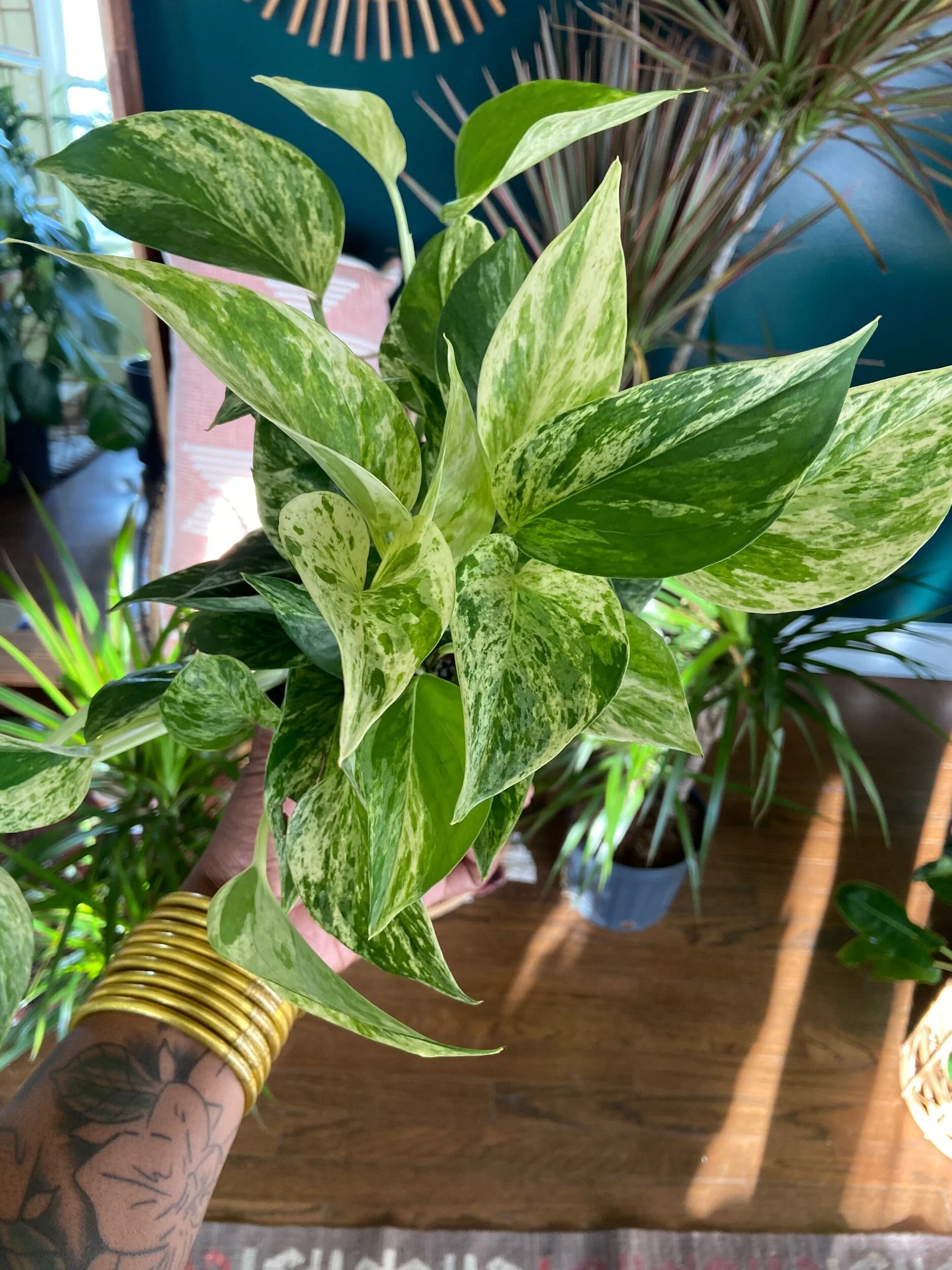 E0AFCBCD-1592-4142-8CA6-347525182E11