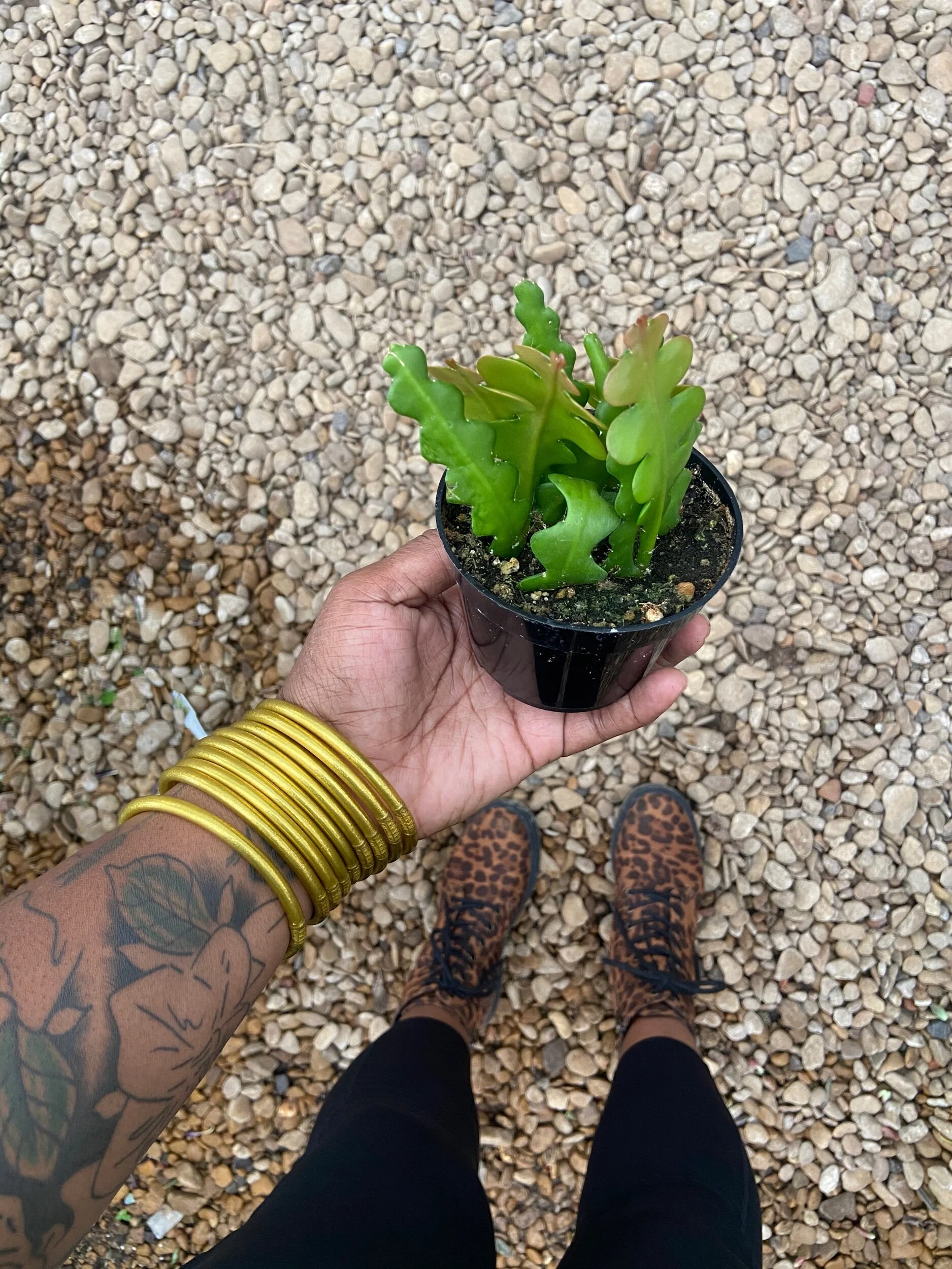 123BC4A3-0EC0-43DD-8B1F-9554E4896CD4