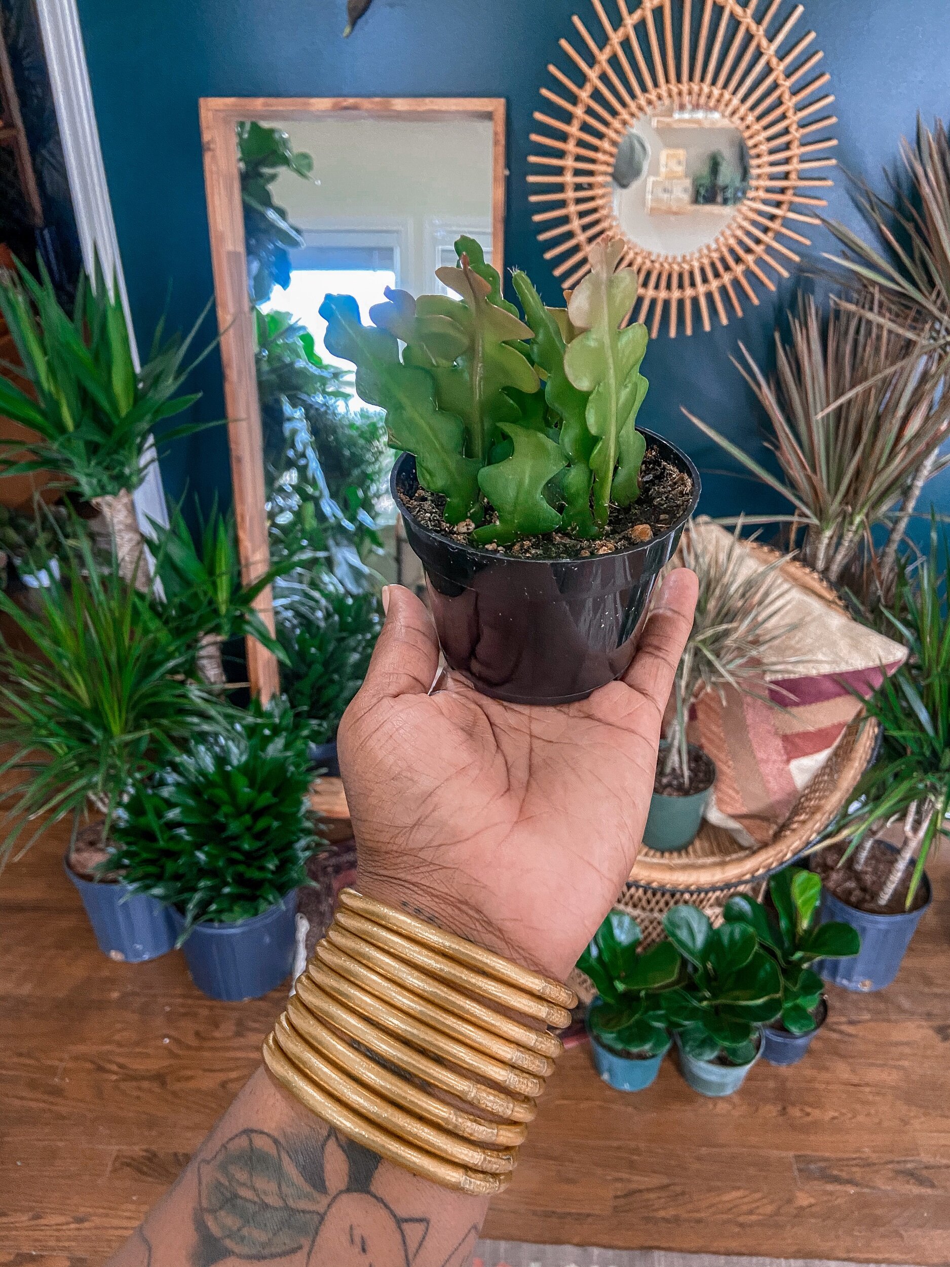 140A46FF-78ED-47DF-B679-DD65C86F5908