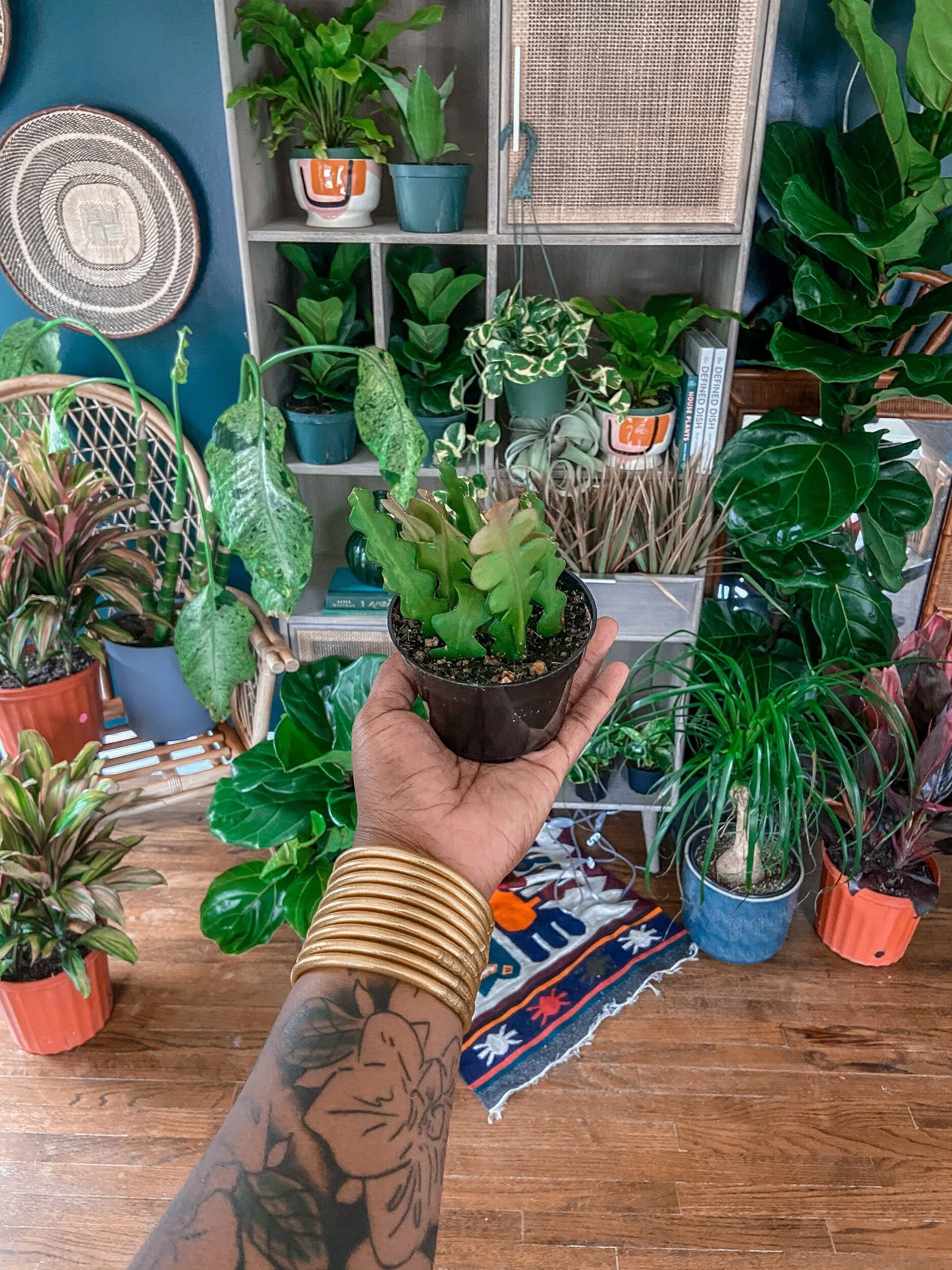 E39E6609-CB73-4D62-8237-DD10625A650B