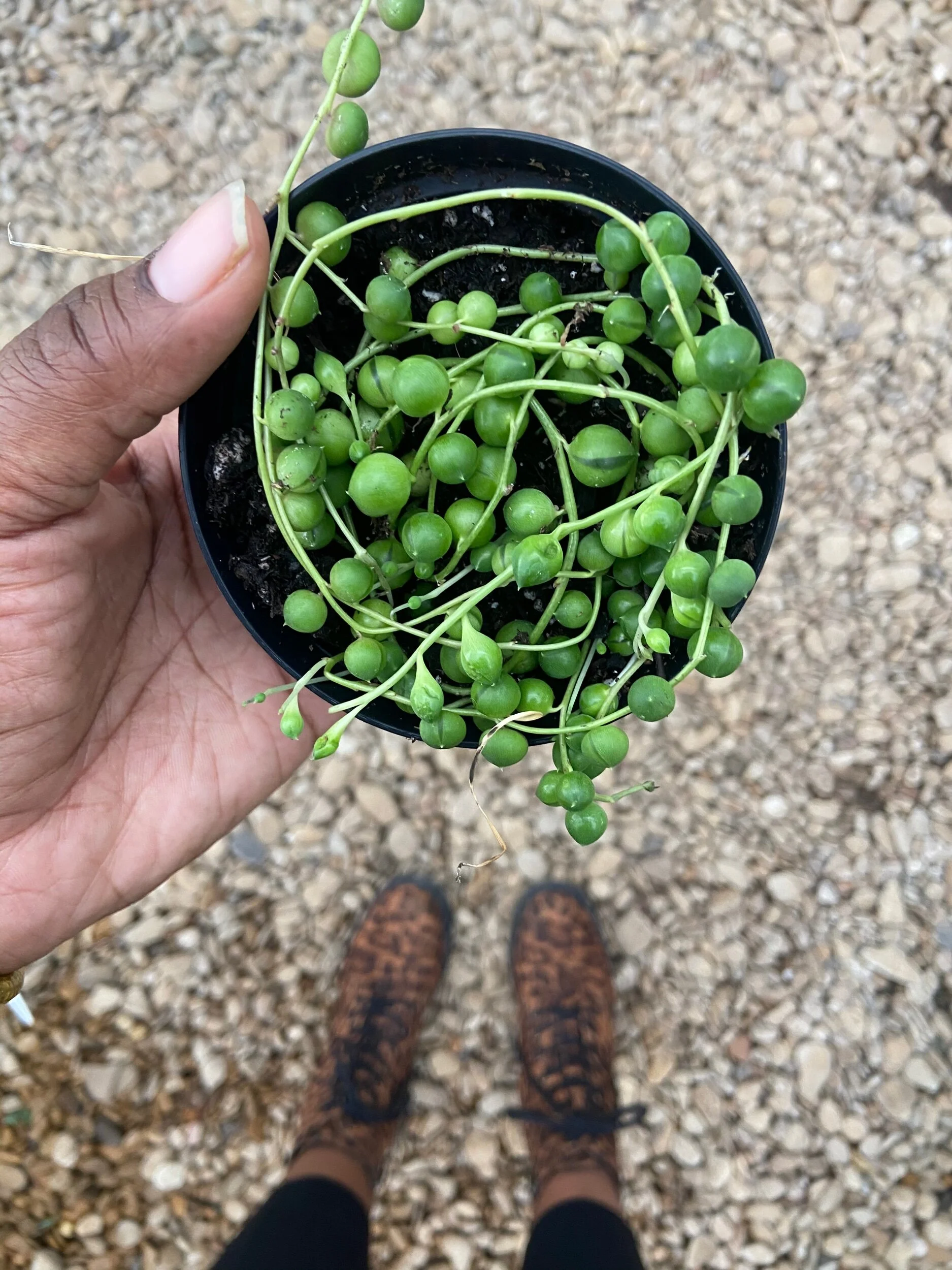 79ABDC8C-CC12-4A83-8F91-4D4F0869FC62