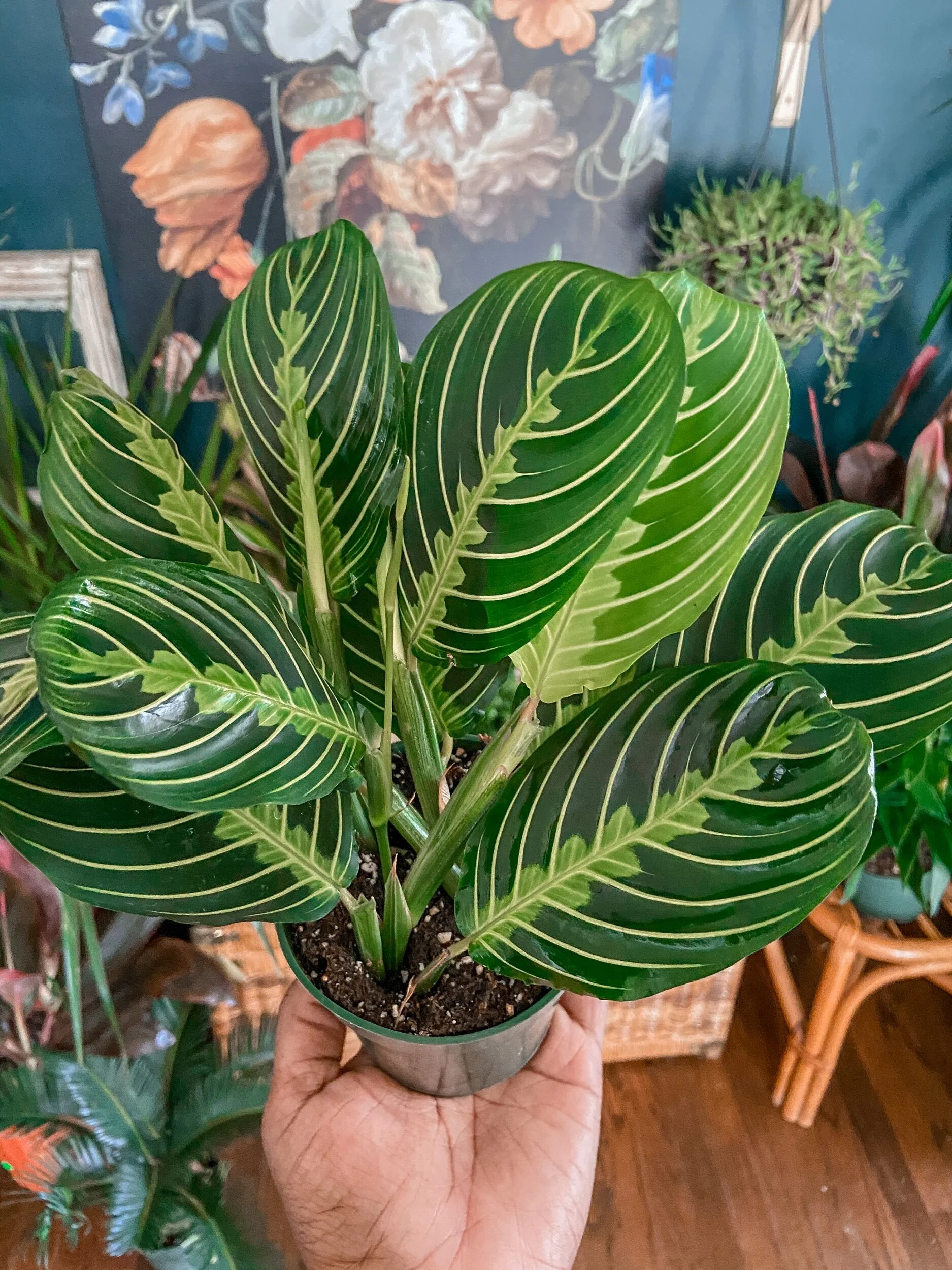 E2C699CD-4D4D-4794-BEF8-EAF1CD4D47BF