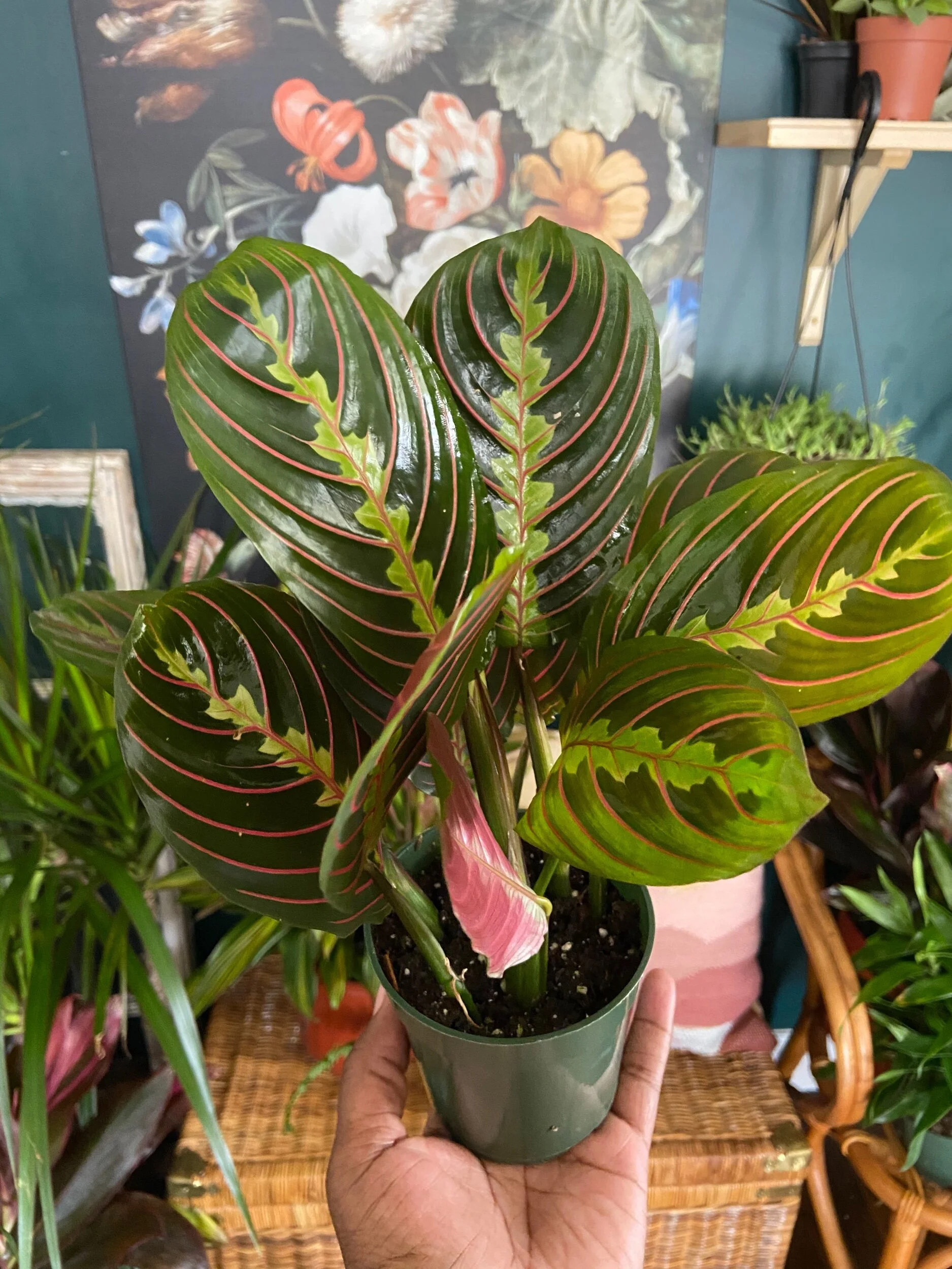 3C8DDD3A-5F2C-42D6-AE42-0335421AAFA5