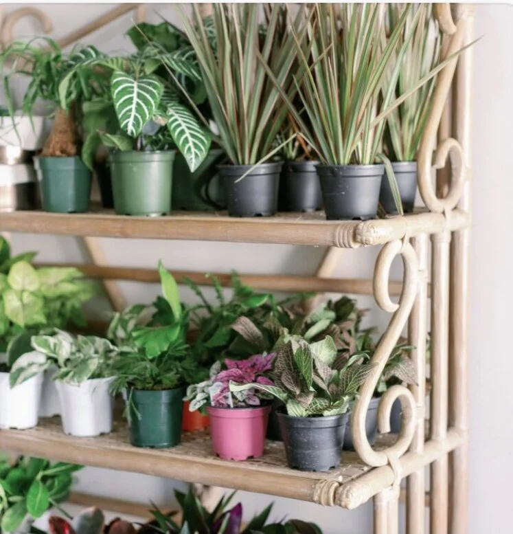 08AEEDCF-3D46-4904-815A-E37B48CE4D84