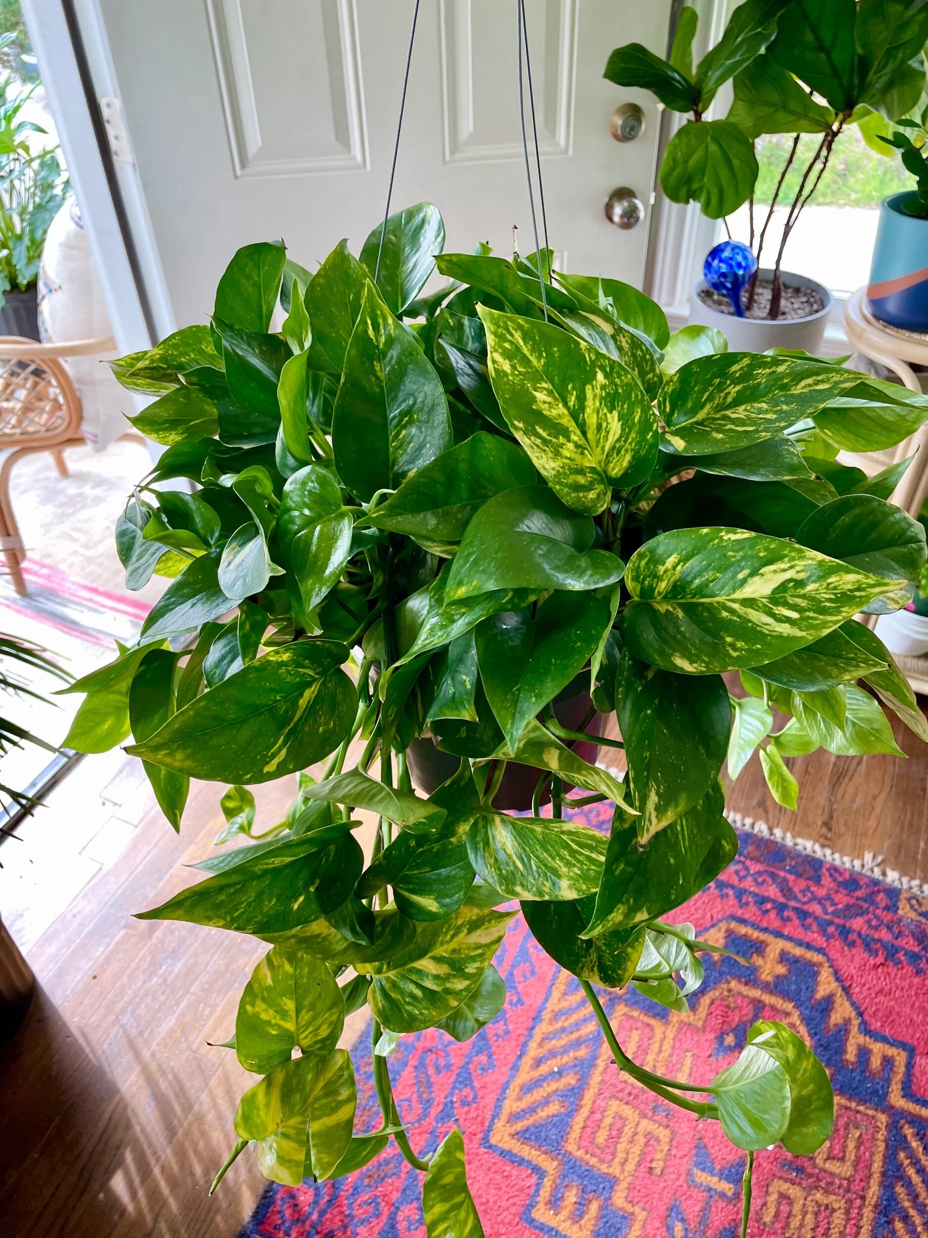 11B1A0F4-FC70-4F36-8C44-0A2CD814E549