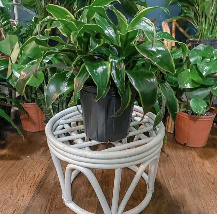 62D3E6FE-49C6-4CCB-AC15-9D21625985D3