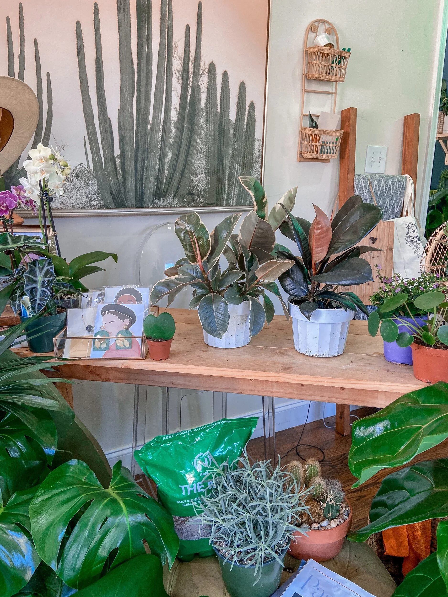 680FB6D7-751A-4F27-954C-9560D5A0DBB5