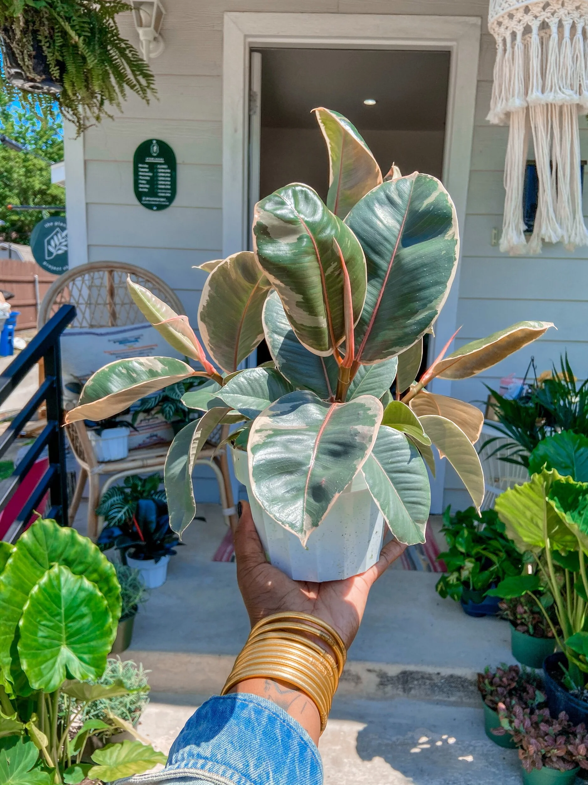 AE8EC64D-EAF9-4D68-B951-5F6FE5EAF5A1