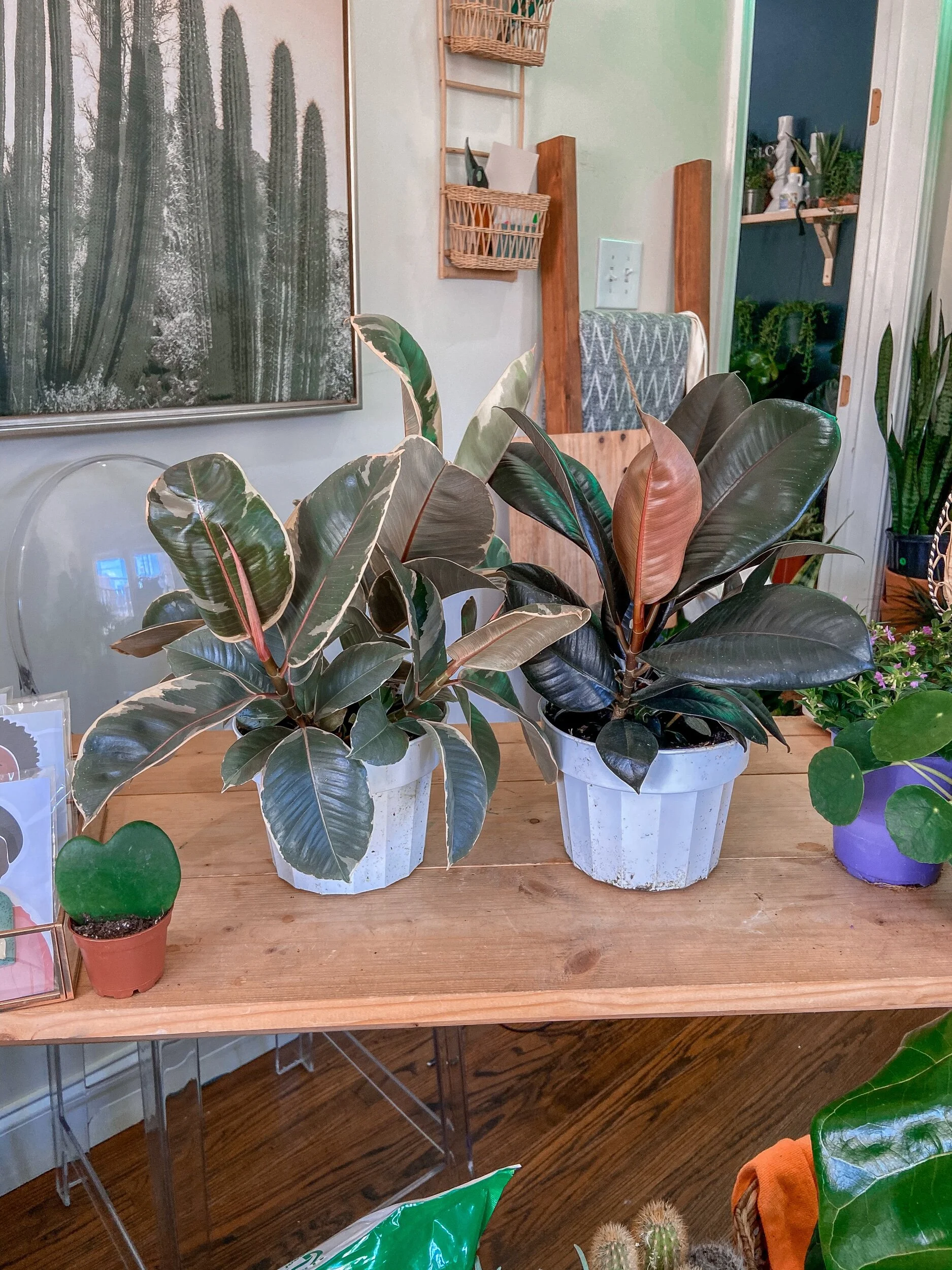 9A485B2C-7063-403F-819E-FA2C279C6A1D