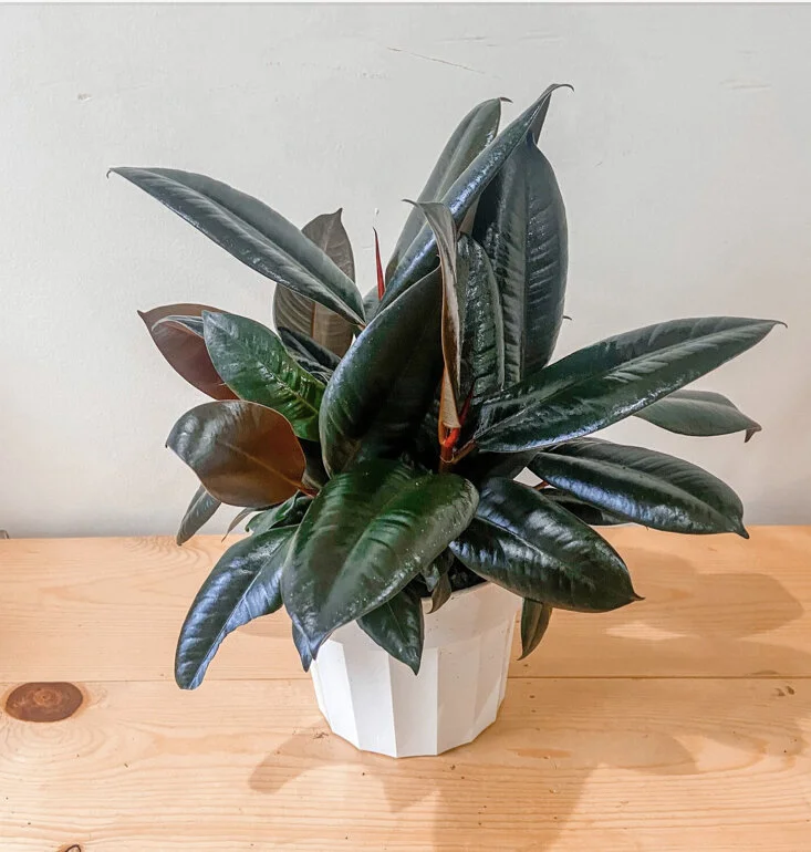 5816245C-B310-47BA-8F61-D4DDE3EF8AC9