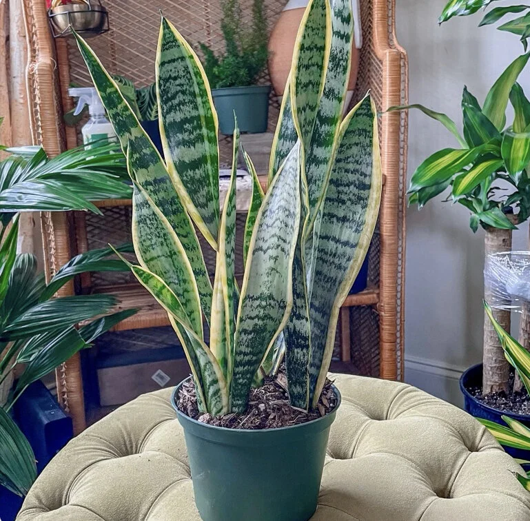 EC76B63E-A4E8-4168-B2DC-A550B37B7AAC