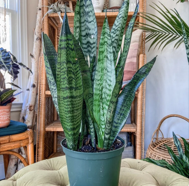 30FDC07C-149F-463E-B622-65625EAADEFF