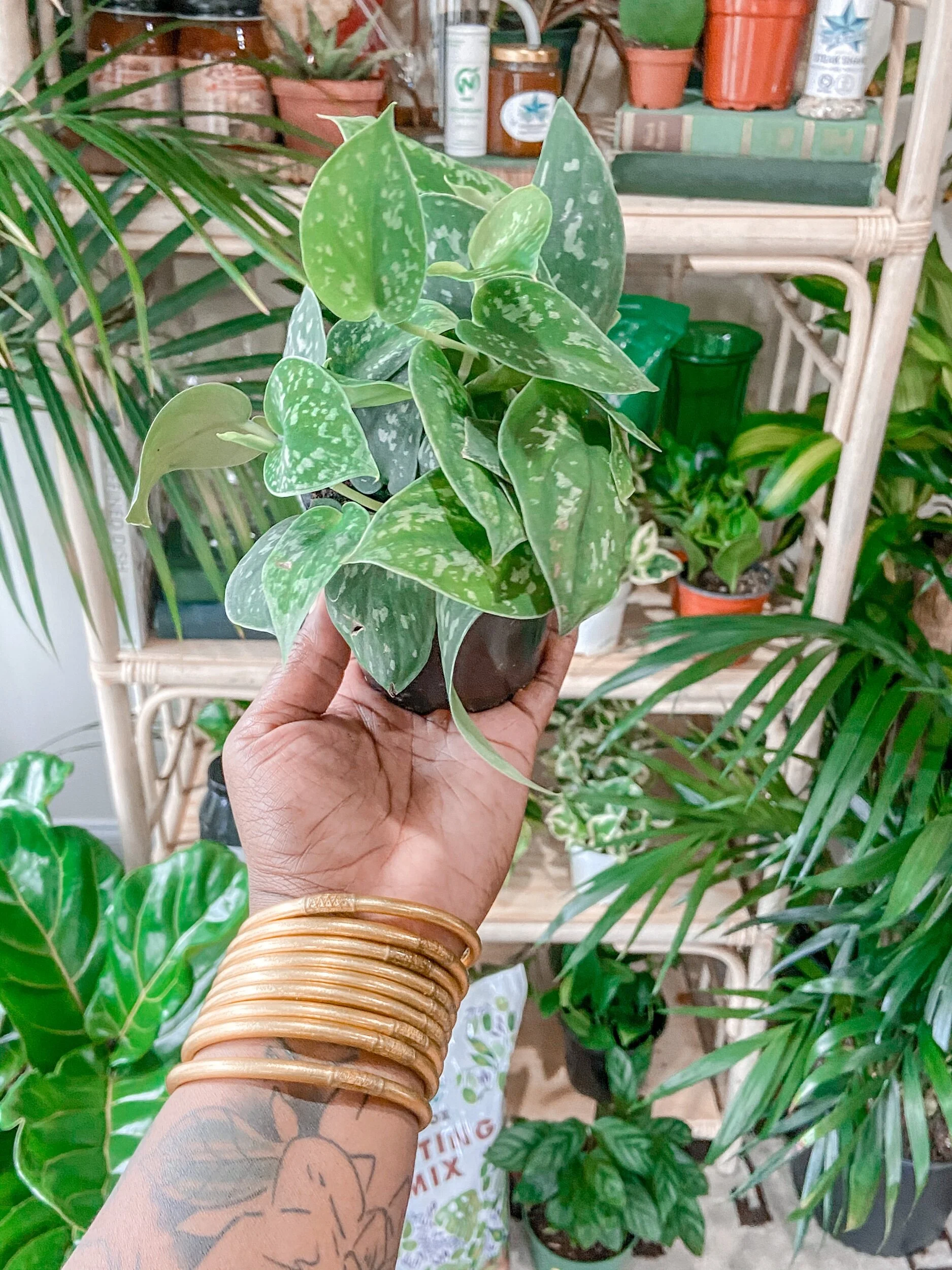 A328929D-CA64-445C-AFD9-689D0AA698C9