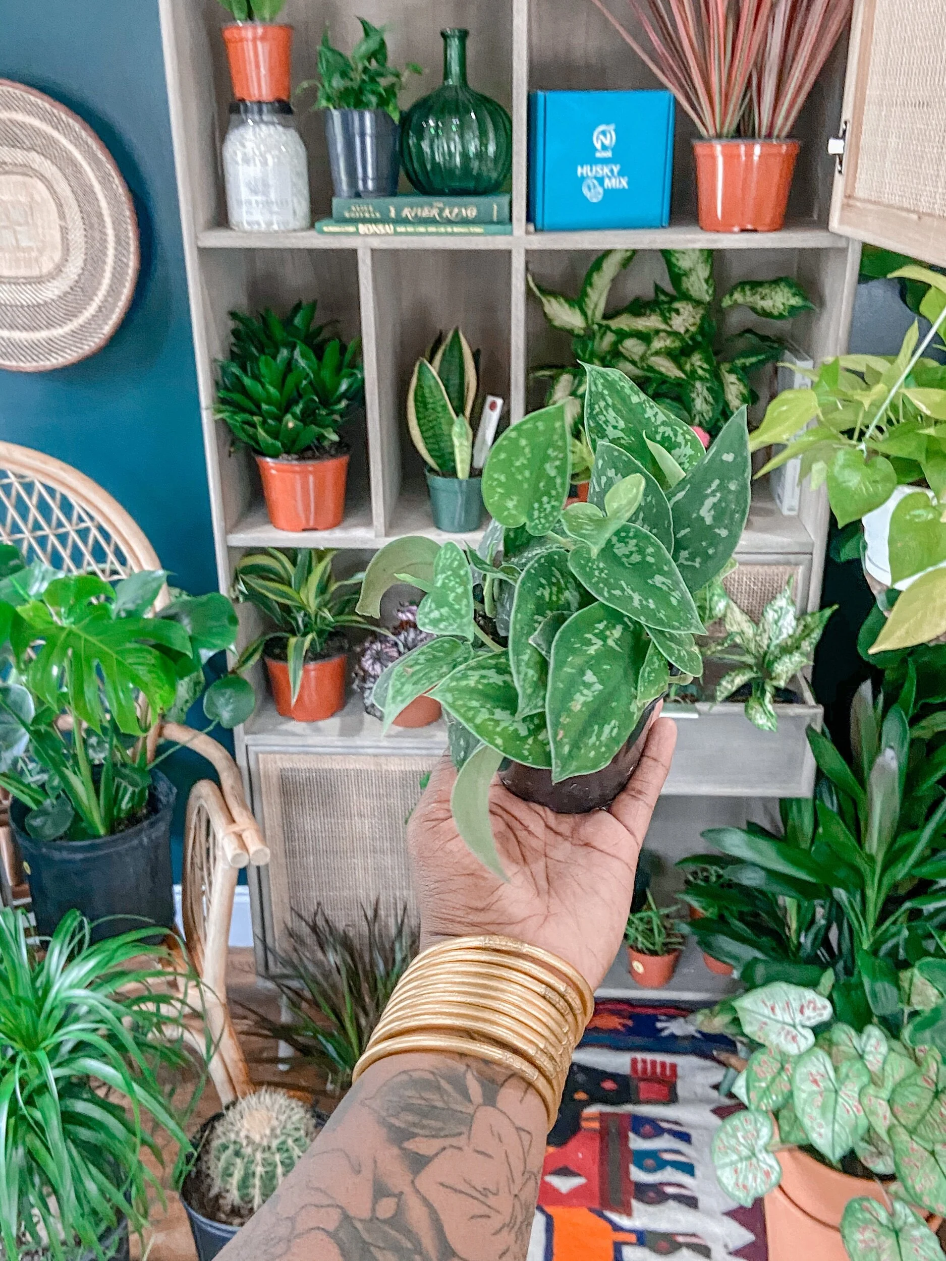 722A811A-C431-4194-99B7-31F19730A978