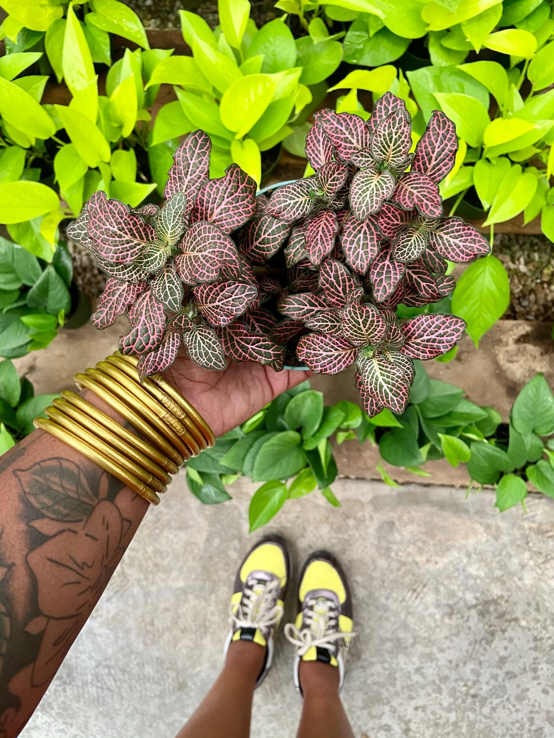 4122BE02-BAA0-4104-A197-C15491593F52