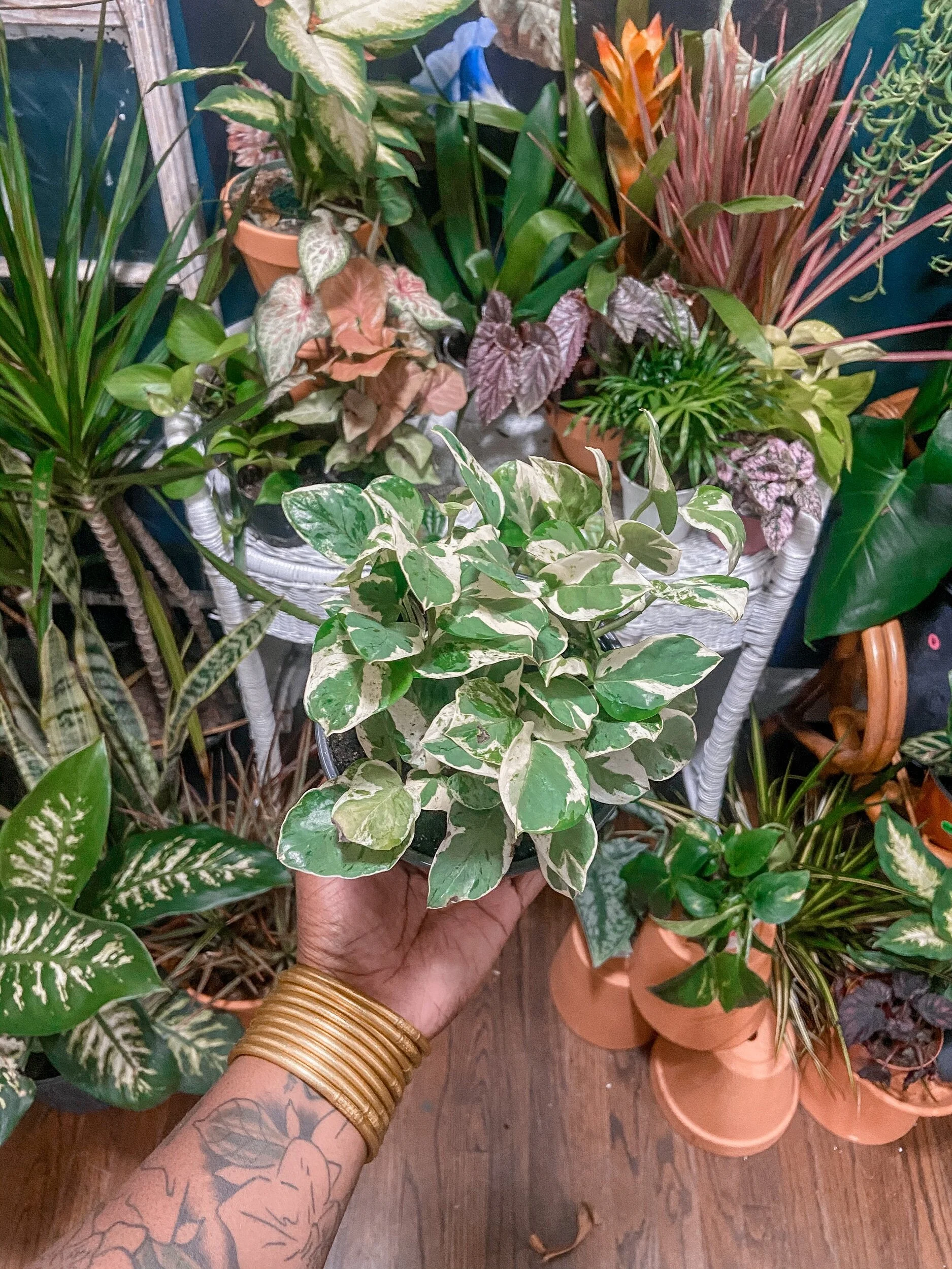 5245CC33-34CF-47DB-8577-4FAD76E817C2