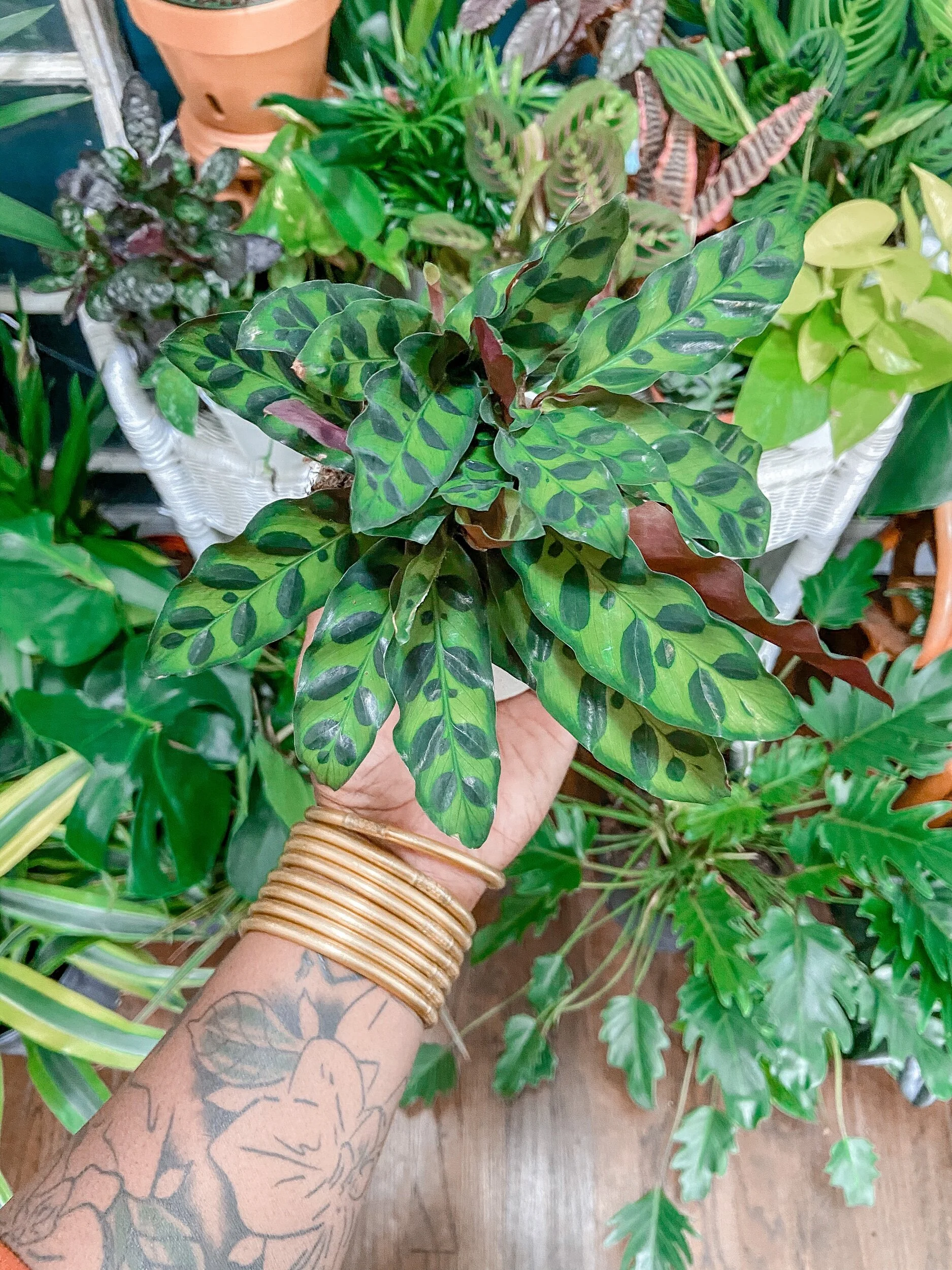 10E0DD87-17D6-44CB-930D-F16F2DC5809B