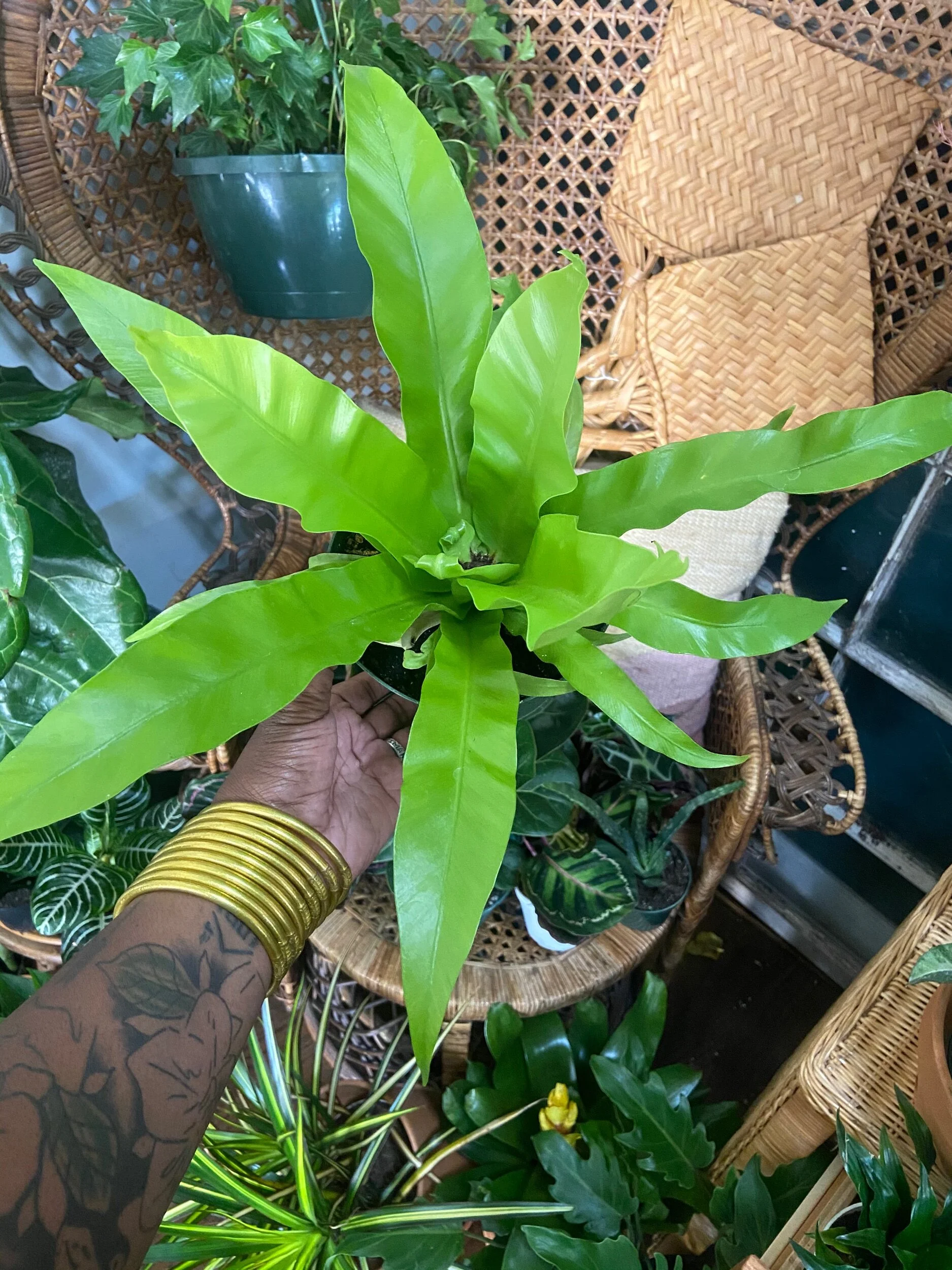 757CDD51-AF13-4533-B578-041DF969AF87