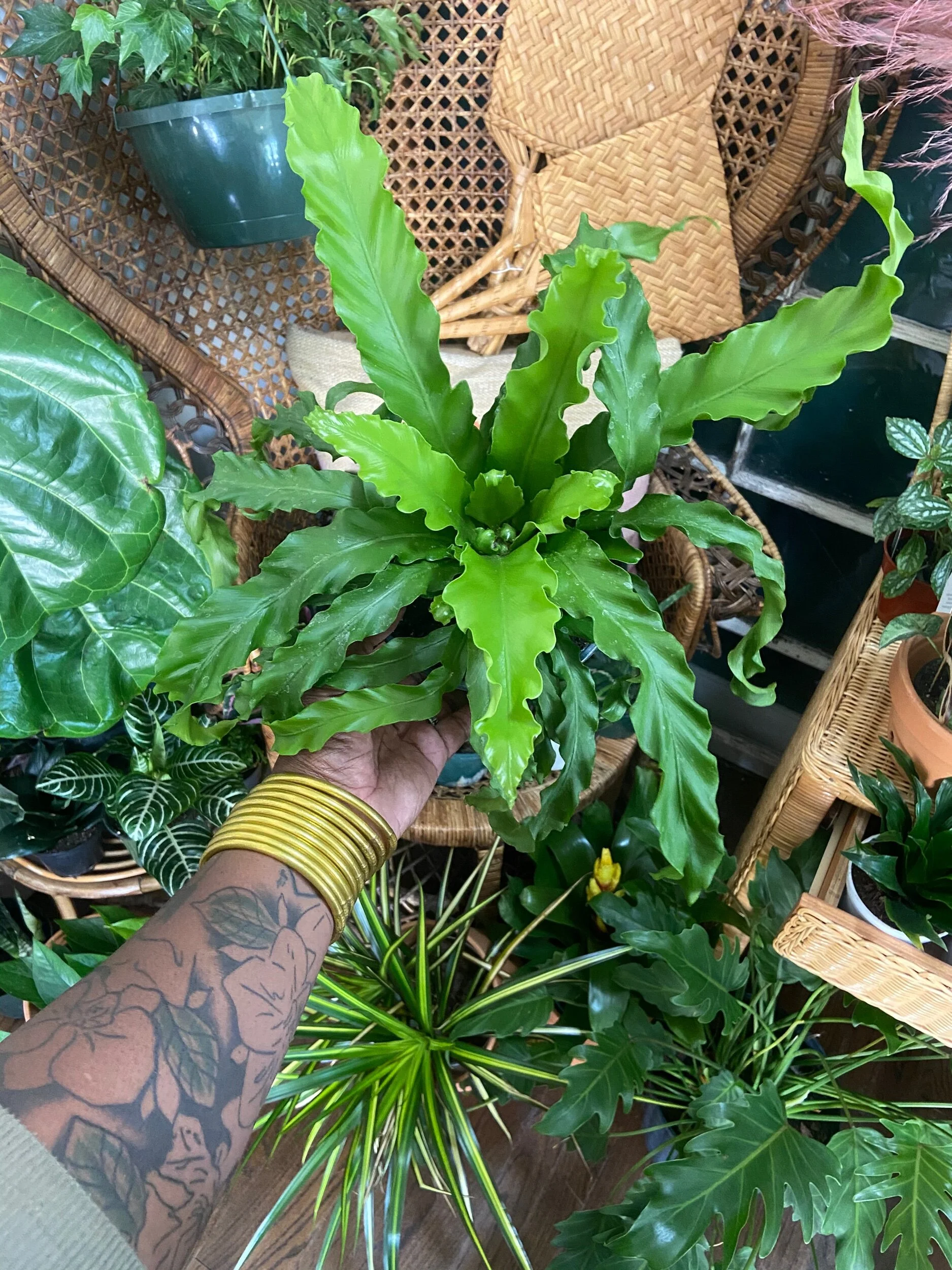 719F13B0-F048-44CA-B575-CEAA3D6A19AB