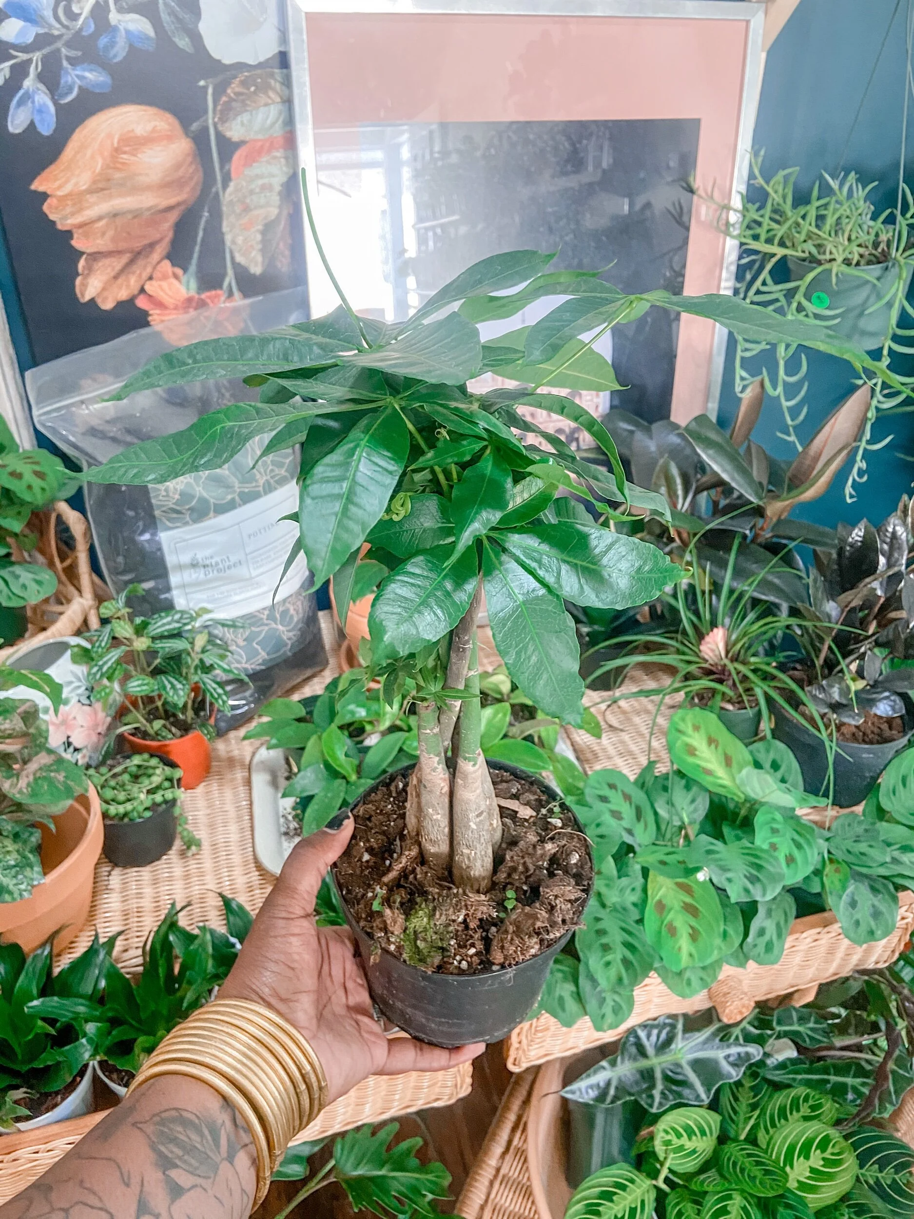 DF873114-1FFE-4CD1-80B4-73CD78E800A1