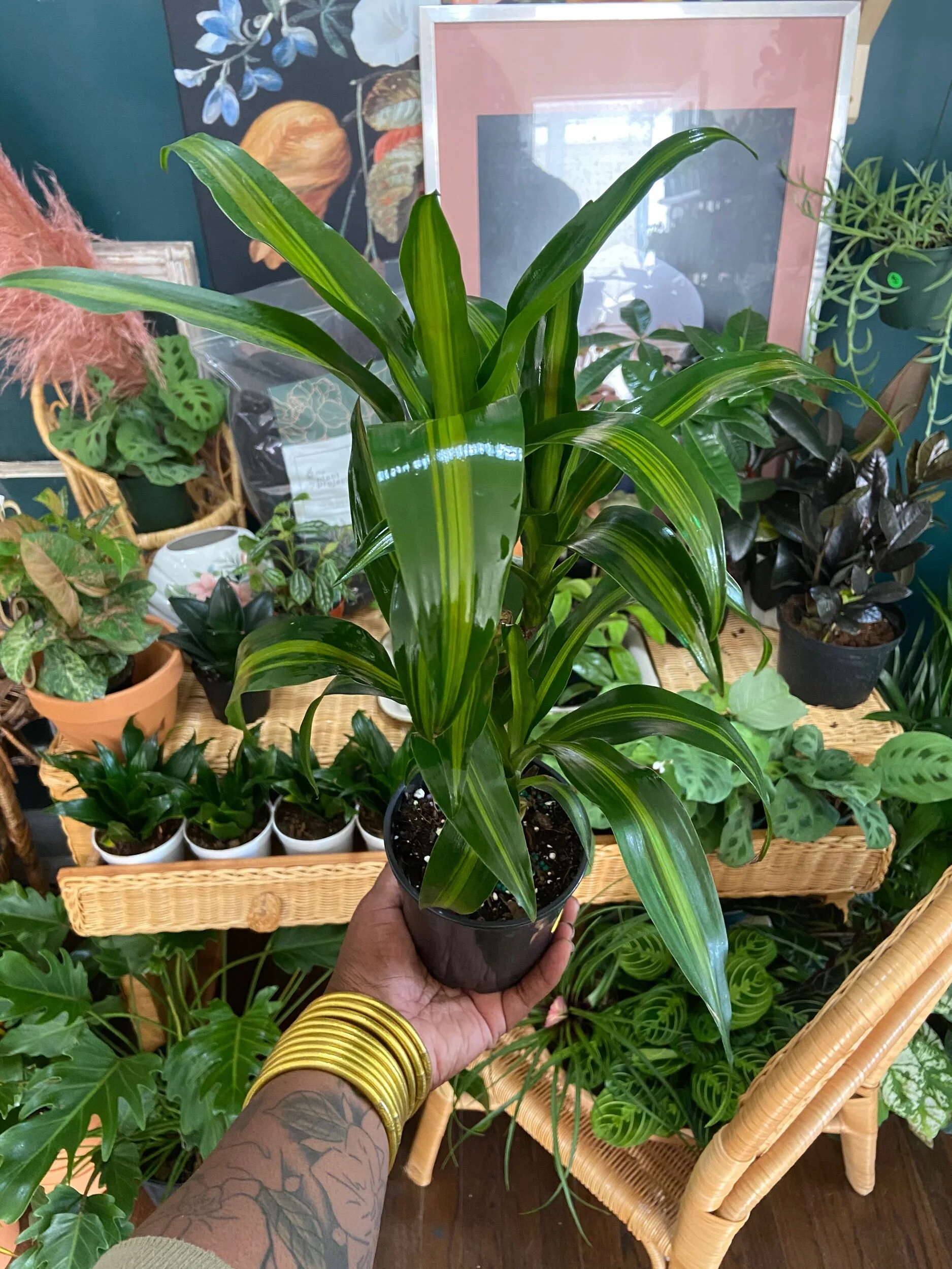 2F97BD80-CF76-40FD-9F4A-C7F112089D7B