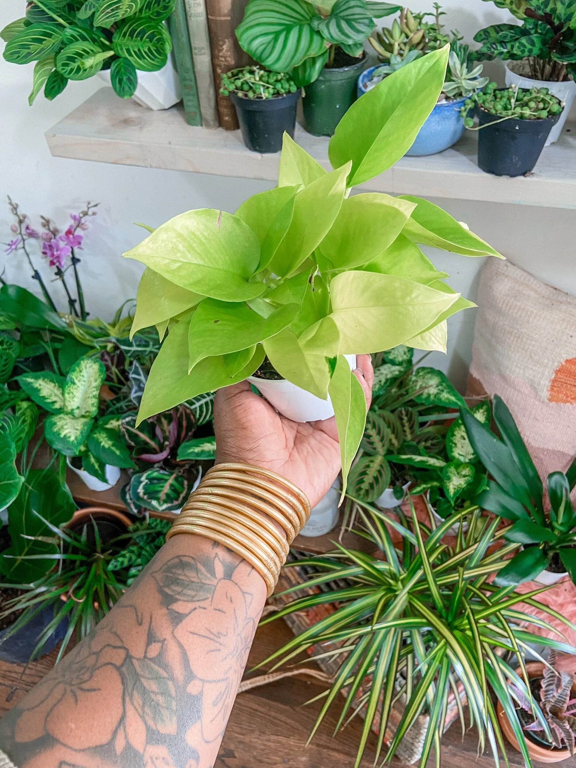 65F834FE-F971-47D7-982A-121E3002F6E4