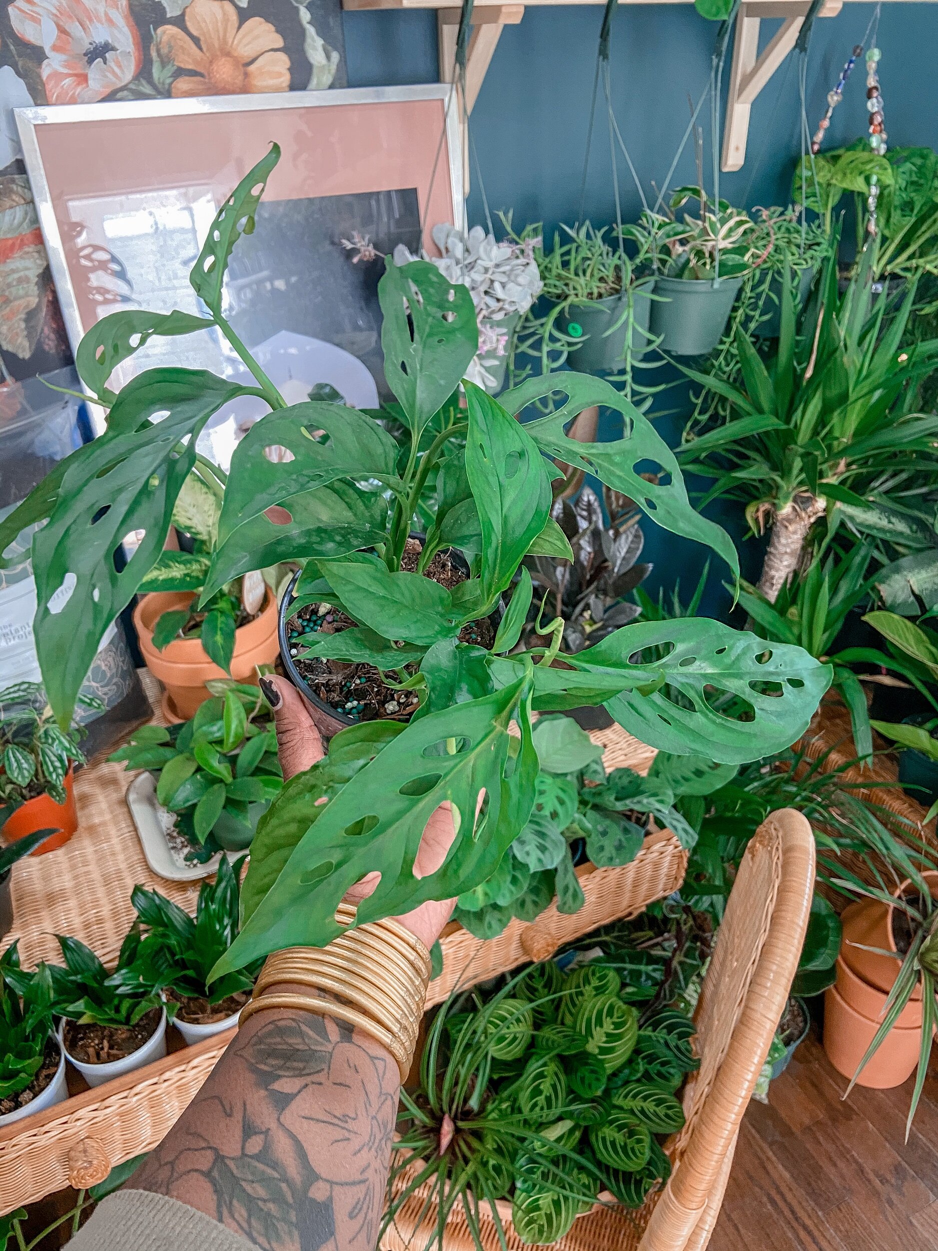 8806963E-5A62-40C3-AA59-9F2898DE15E9