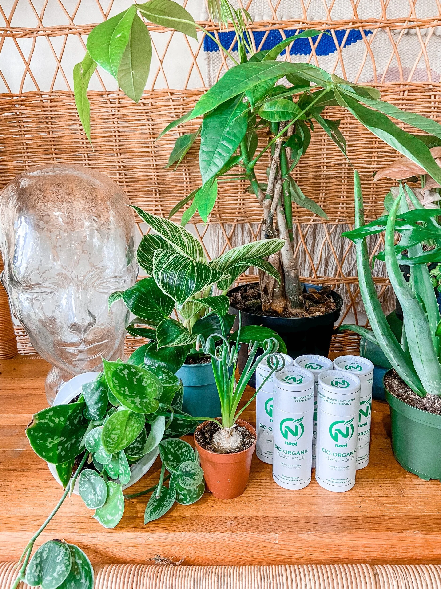 F29119D5-01C3-4E8F-A99B-F3A34213D8CB