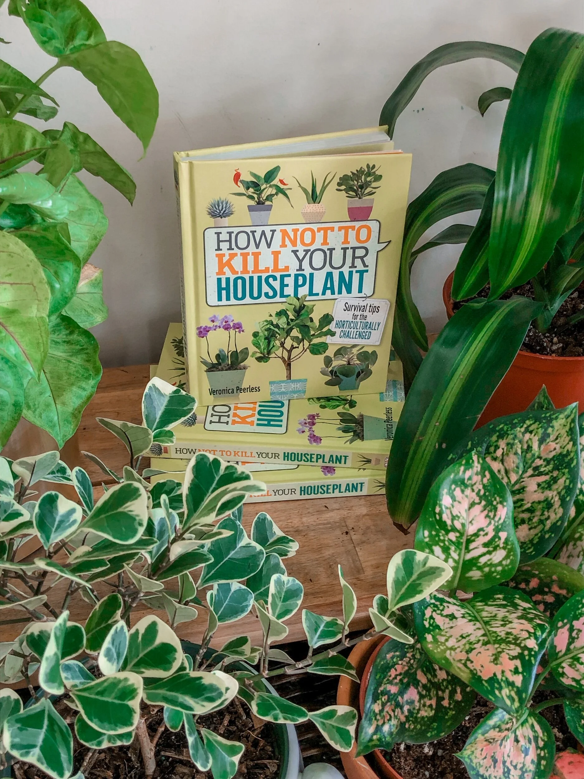 EBBF6399-4127-4523-ADC6-57E2105DAC43