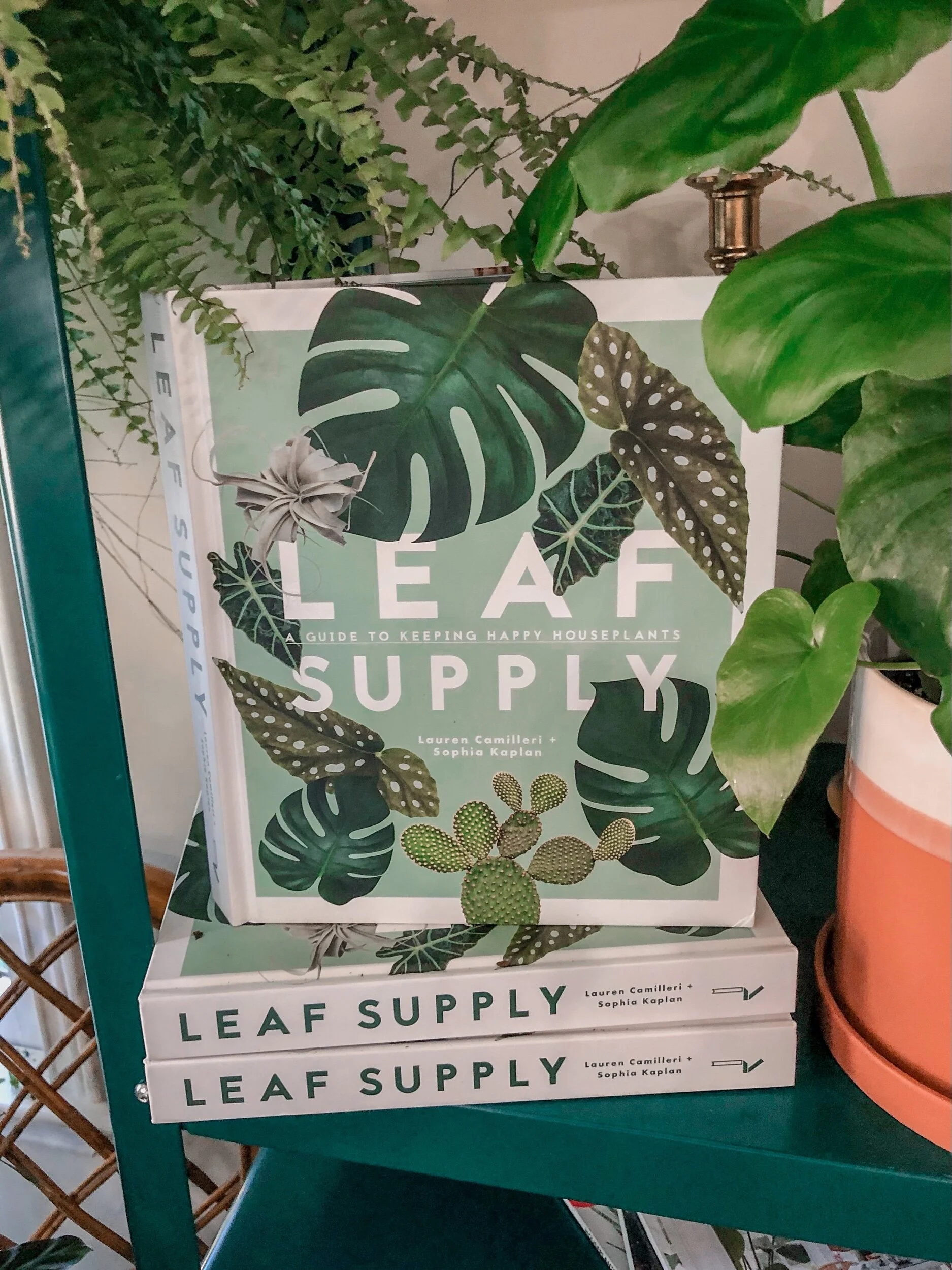 A9F50EE4-1FBC-4405-BD72-7A00B776D42D