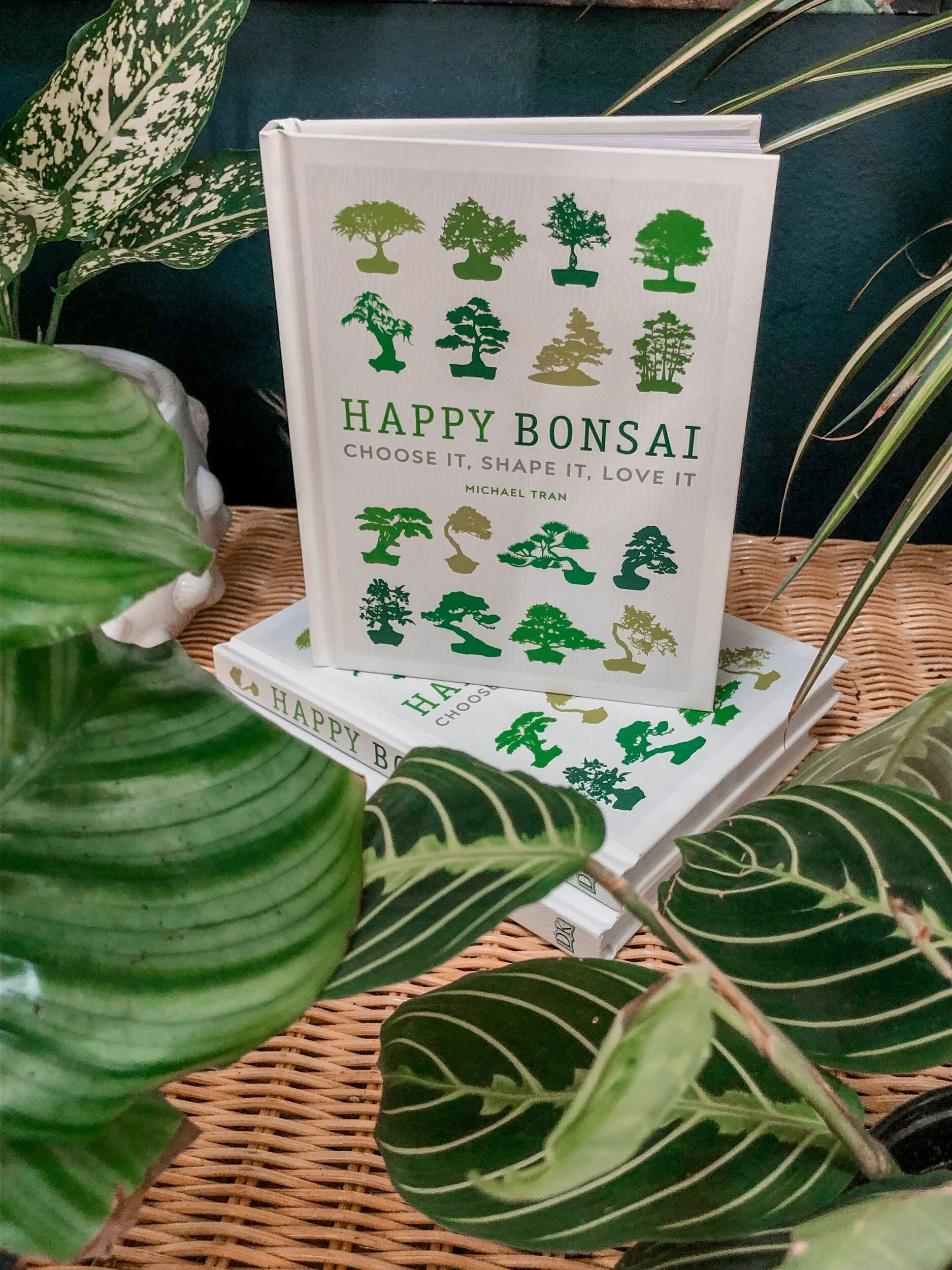 301A9B9C-8DF6-4670-929B-40666DA6AB95