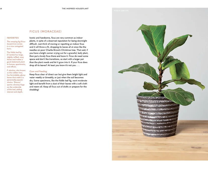 83246B72-6AFC-4792-9F15-6F9428726438